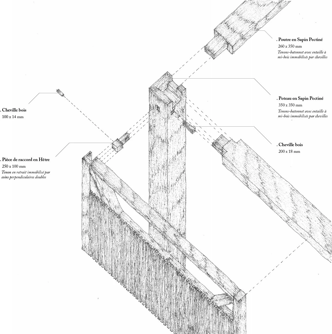 Timothé Girard - Illustration - Assemblage construction en sapin pectiné.jpg