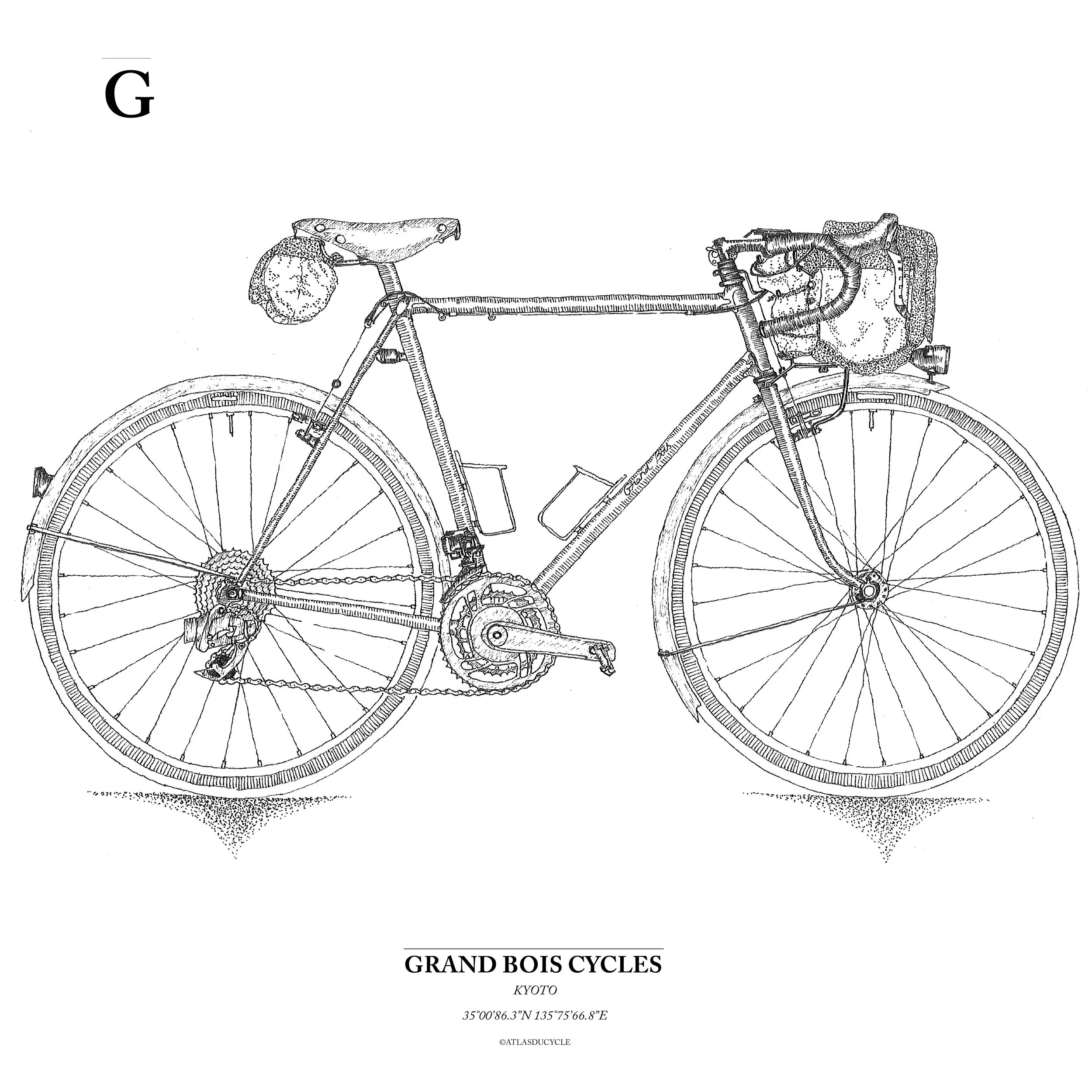 Timothé Girard - Atlas du cycle - Ilustration - Velo Grand Bois.jpg