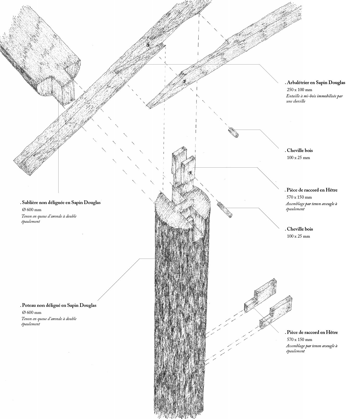 Timothé Girard - Illustration - Assemblage construction bois.jpg