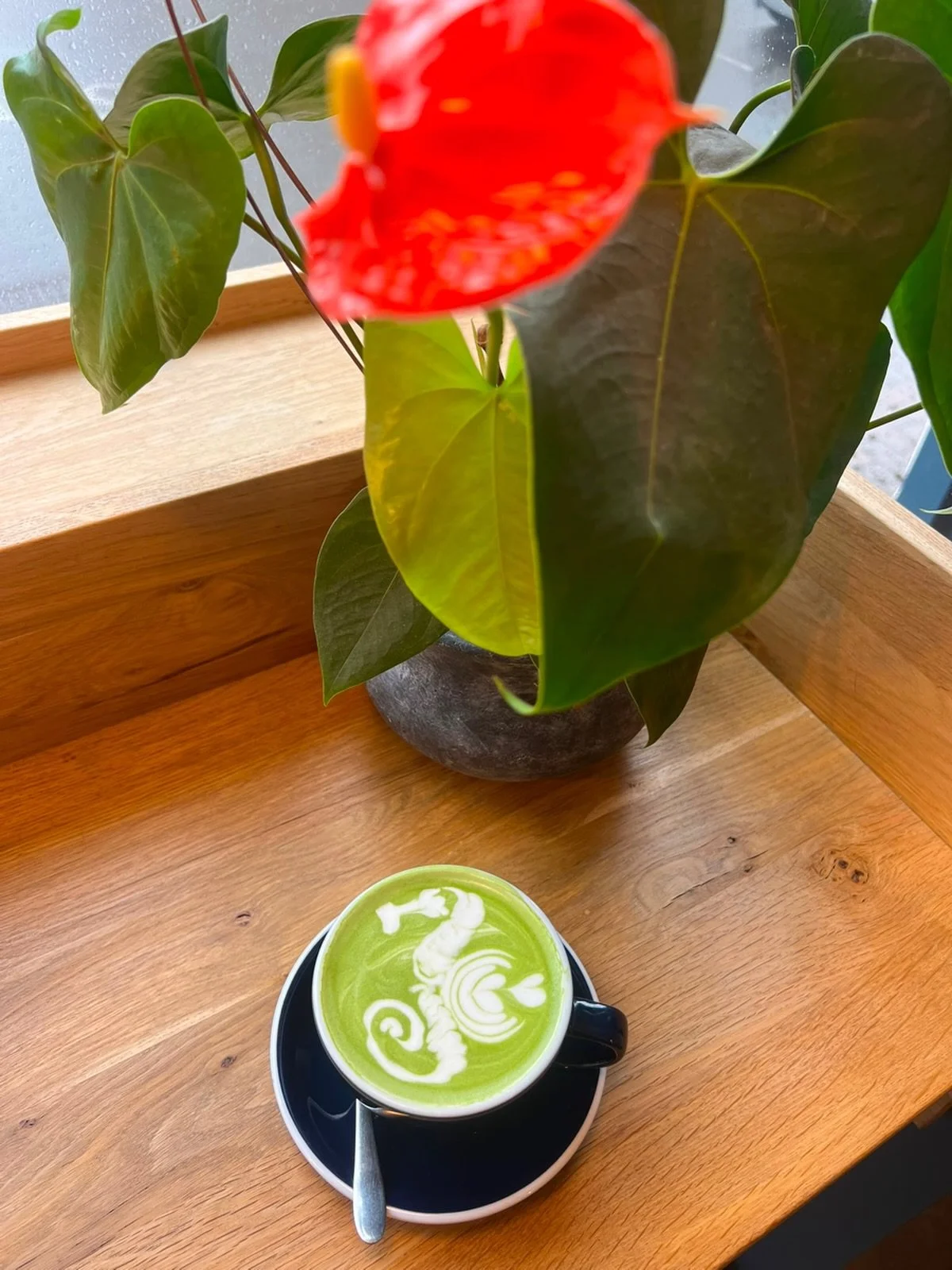 We are one! 🫶🏼 

It's been a whole year since we opened our doors and we've loved every single second 🙌 
Thanks to the Lewes community for being so welcoming - we can't wait to continue serving up the best speciality coffee the area has to offer ☕