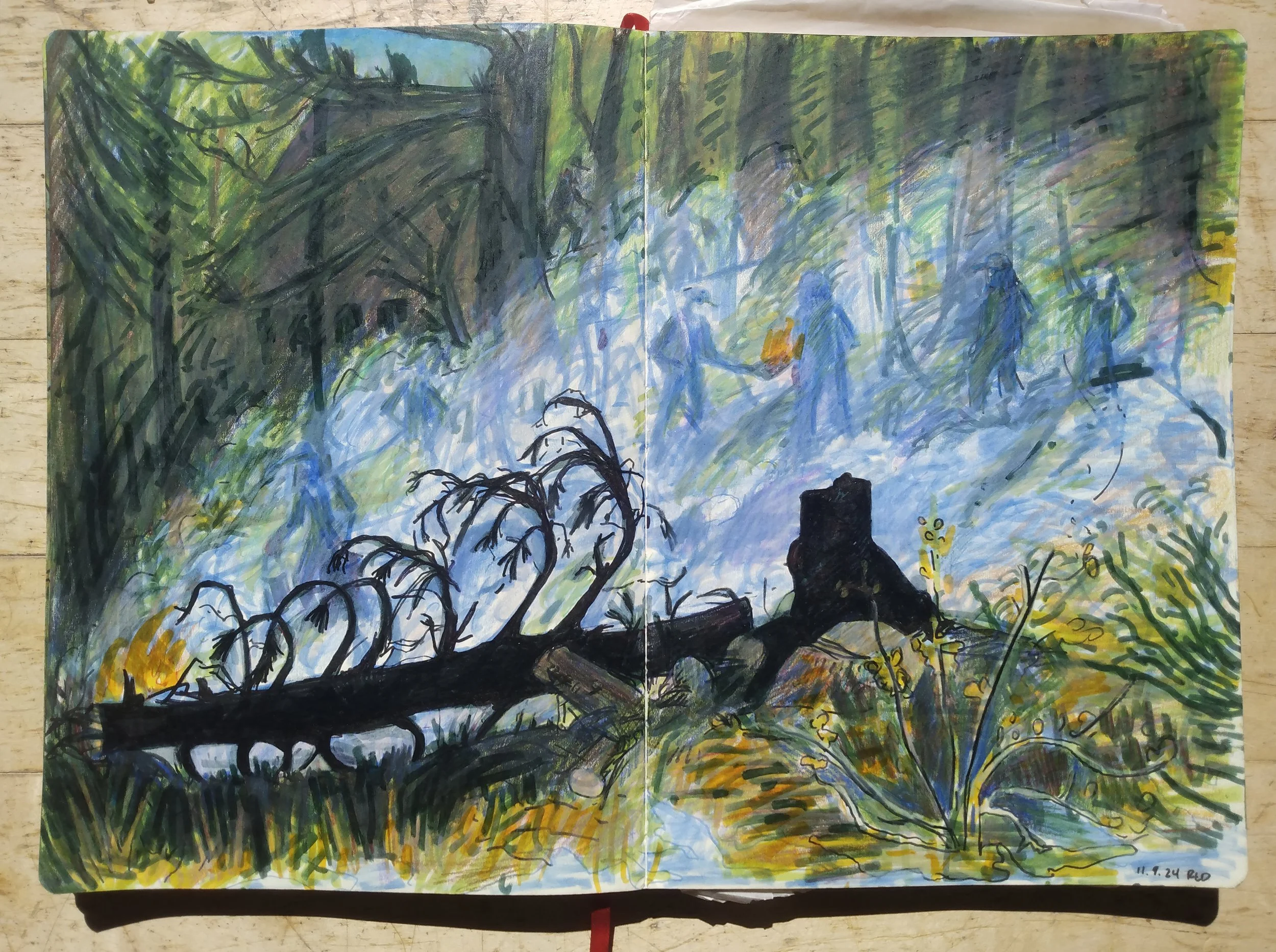 Burn Pit (Controlled Burn) I|
India ink markers and colored pencil on paper
2024