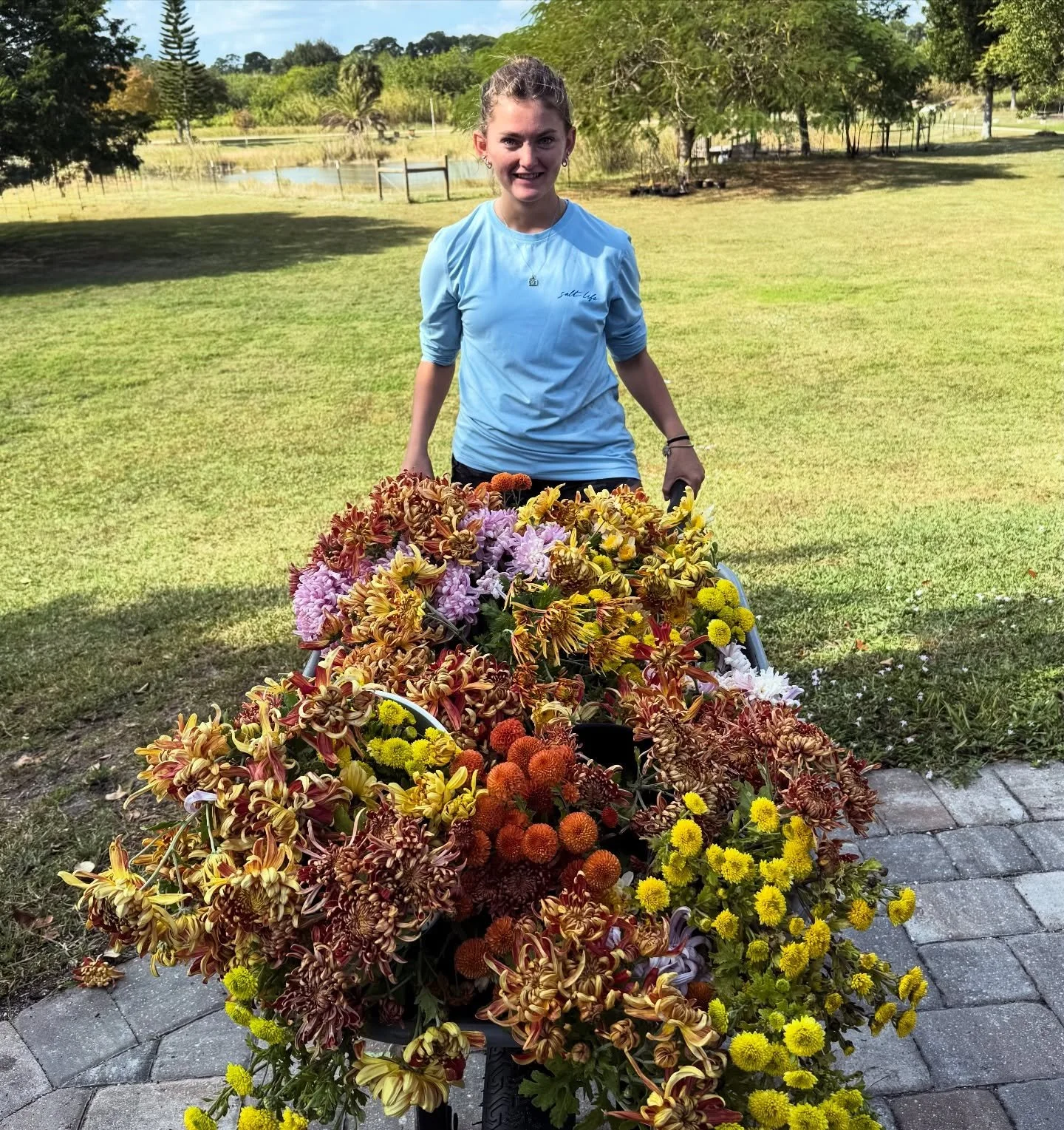 Ella harvesting the most gorgeous mums for this week&rsquo;s festivities 🍃🍁💐 grown from @3porchfarm cuttings 🌿