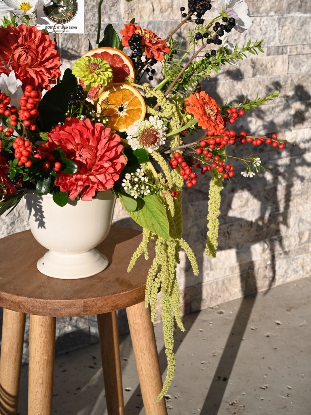 Christmas, but make it Florida 🌲🍊🌹