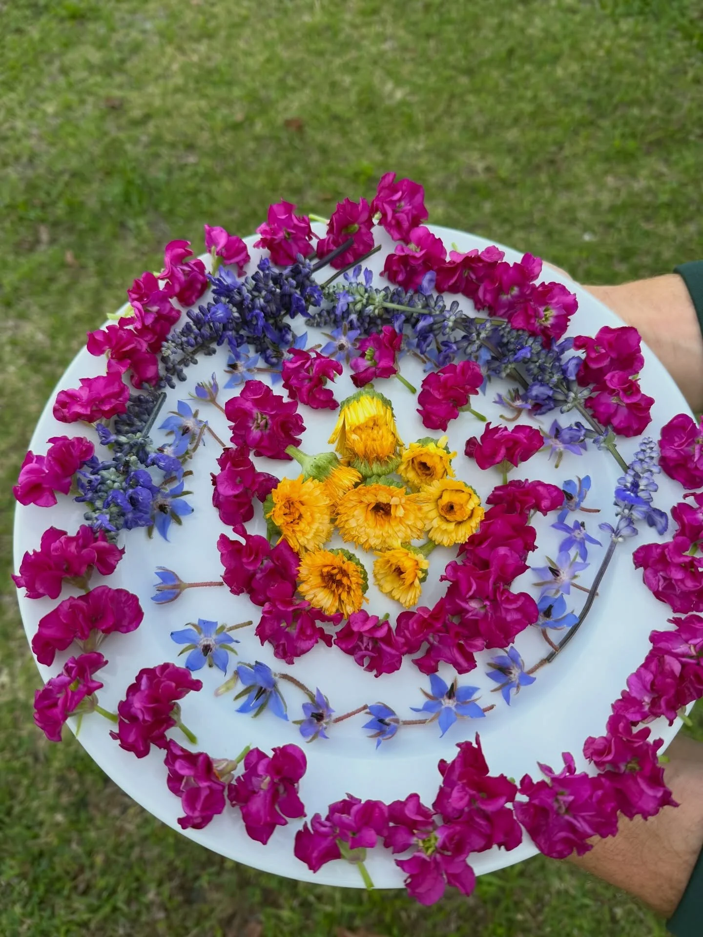 Edible flowers aren&rsquo;t typically part of our offerings, but when one of our favorite local environmental nonprofits asked, we were honored to make an exception &amp; we&rsquo;re so happy with how they turned out! 🌿🌊💐