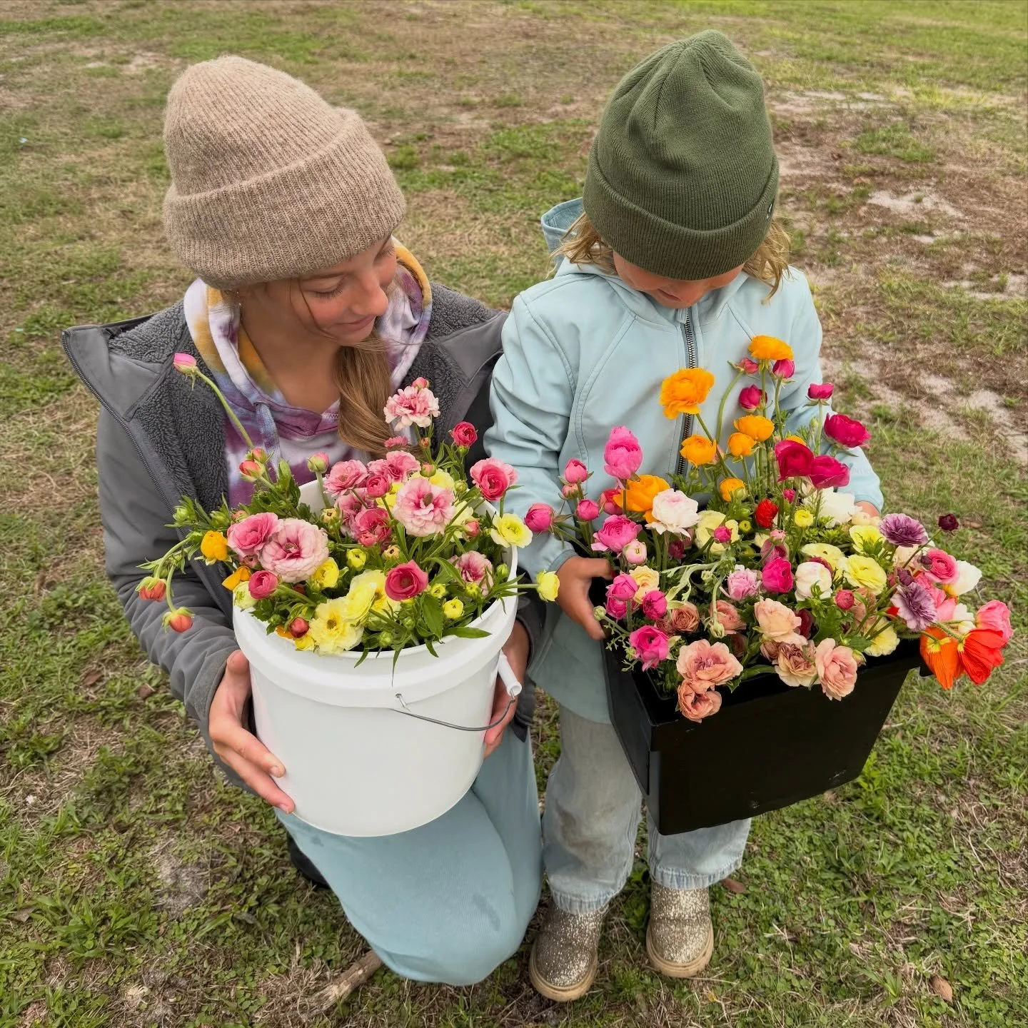 One of our fav harvesting duos getting it done this morning 💐✅💓