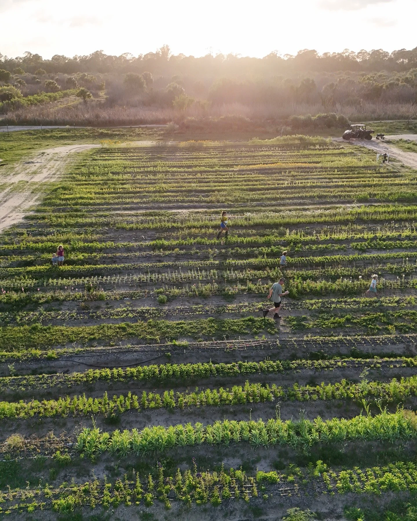 Can you spot the farmers? (Hint: there are 6 😉)