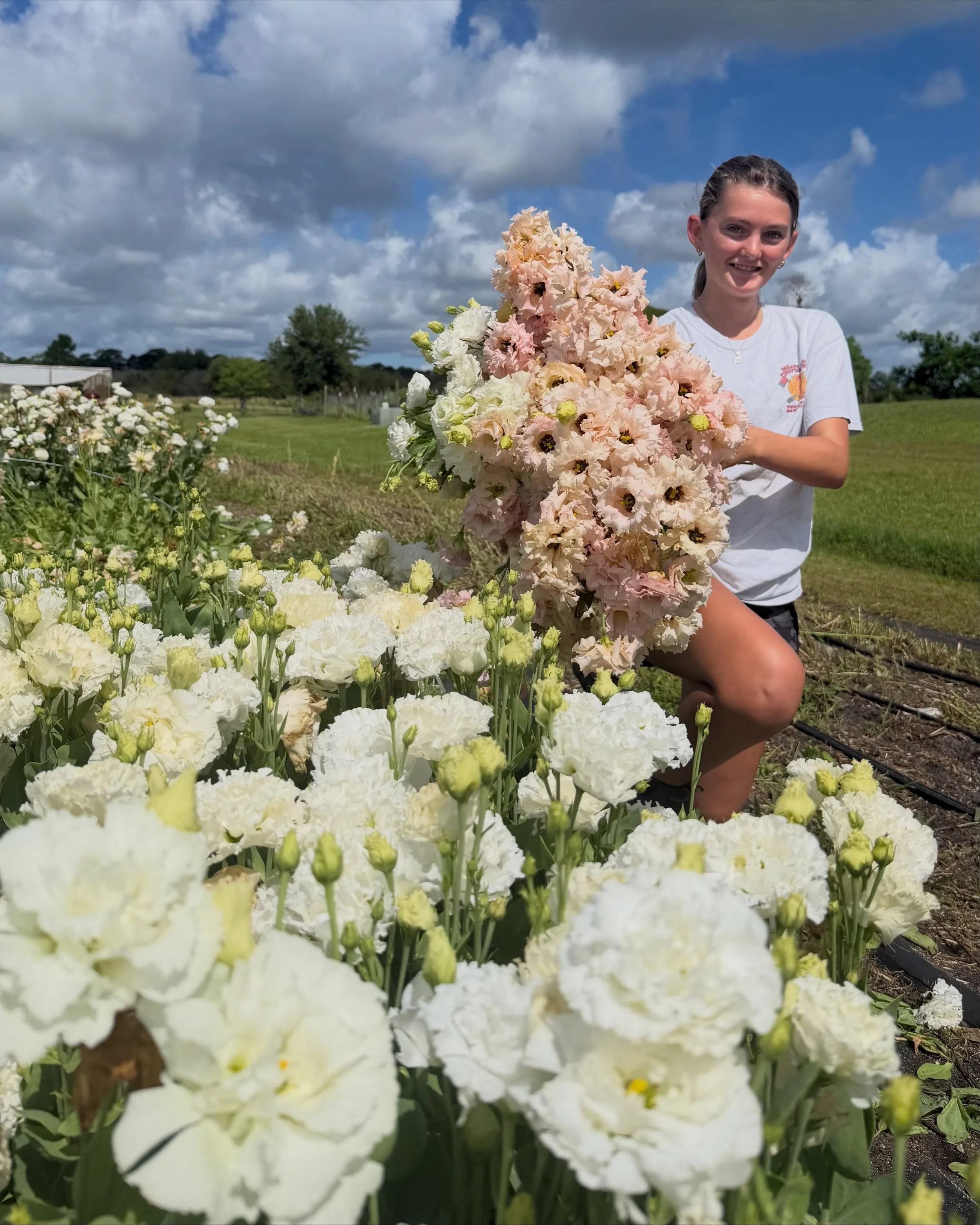 Filling more buckets of lisis this morning with our hardworking &amp; talented @ellabellacinderella08 🌸🤍👩🏼&zwj;🌾