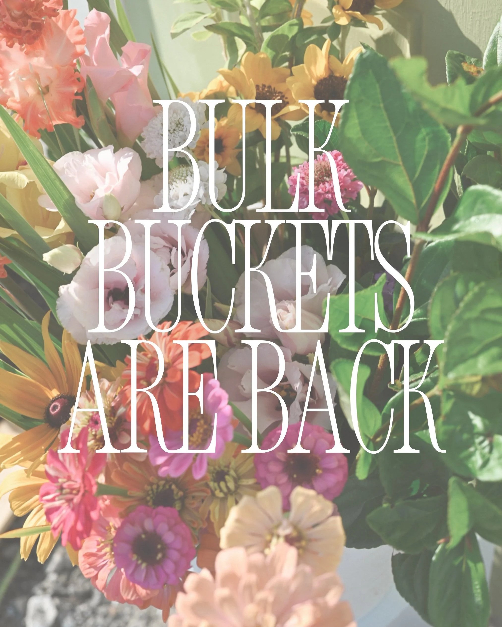 A mix of the farm&rsquo;s best blooms can now fill every room! Perfect for home arrangements, parties, &amp; whatever your heart desires.  Farm pickup: Mon-Sat | Link in bio to order 💐