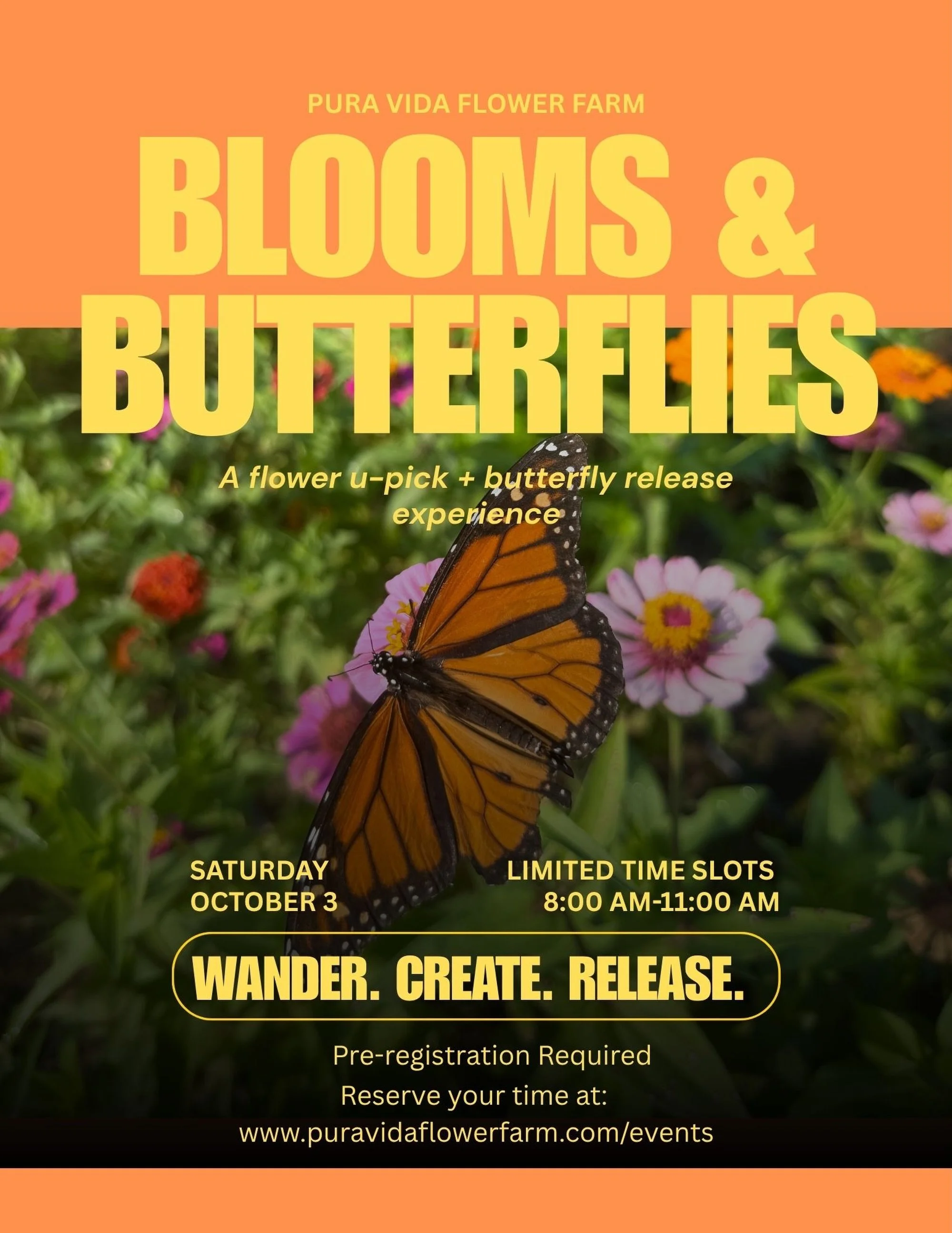 Blooms + Butterflies 🦋💐🌸 

We&rsquo;re opening the flower fields for a magical morning on the farm. Come wander the rows, cut your own flowers, create something beautiful, and release your very own butterfly into the garden 🦋 

SATURDAY OCT 3 
Ti