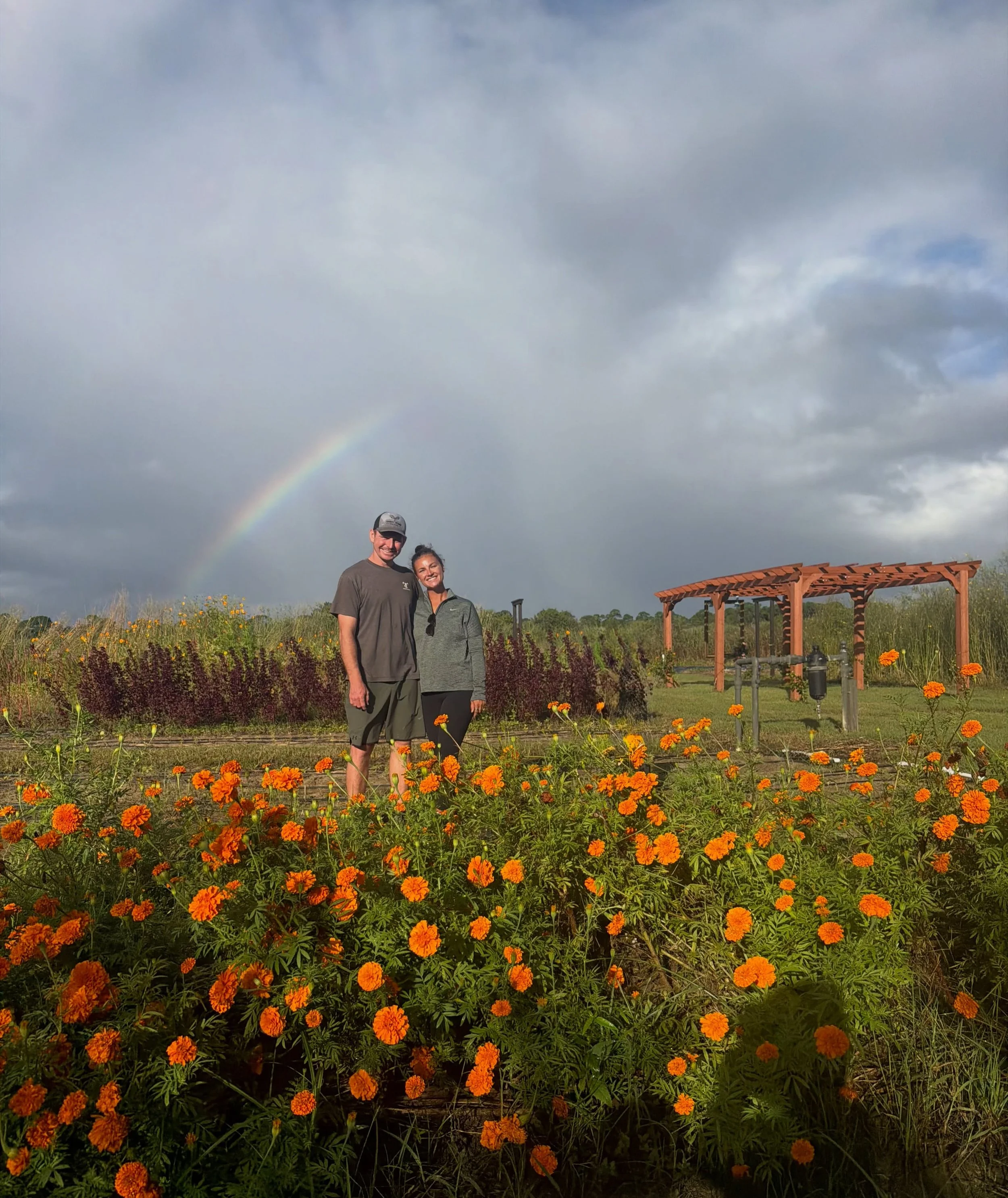 Nov 2026 ➡️ Dec 2025. OH, the difference a year can make! 🌈

We&rsquo;ve spent nearly every single day of the past year pouring our hearts into transforming an old citrus grove into our dream flower farm.

Last December, we had just finished clearin