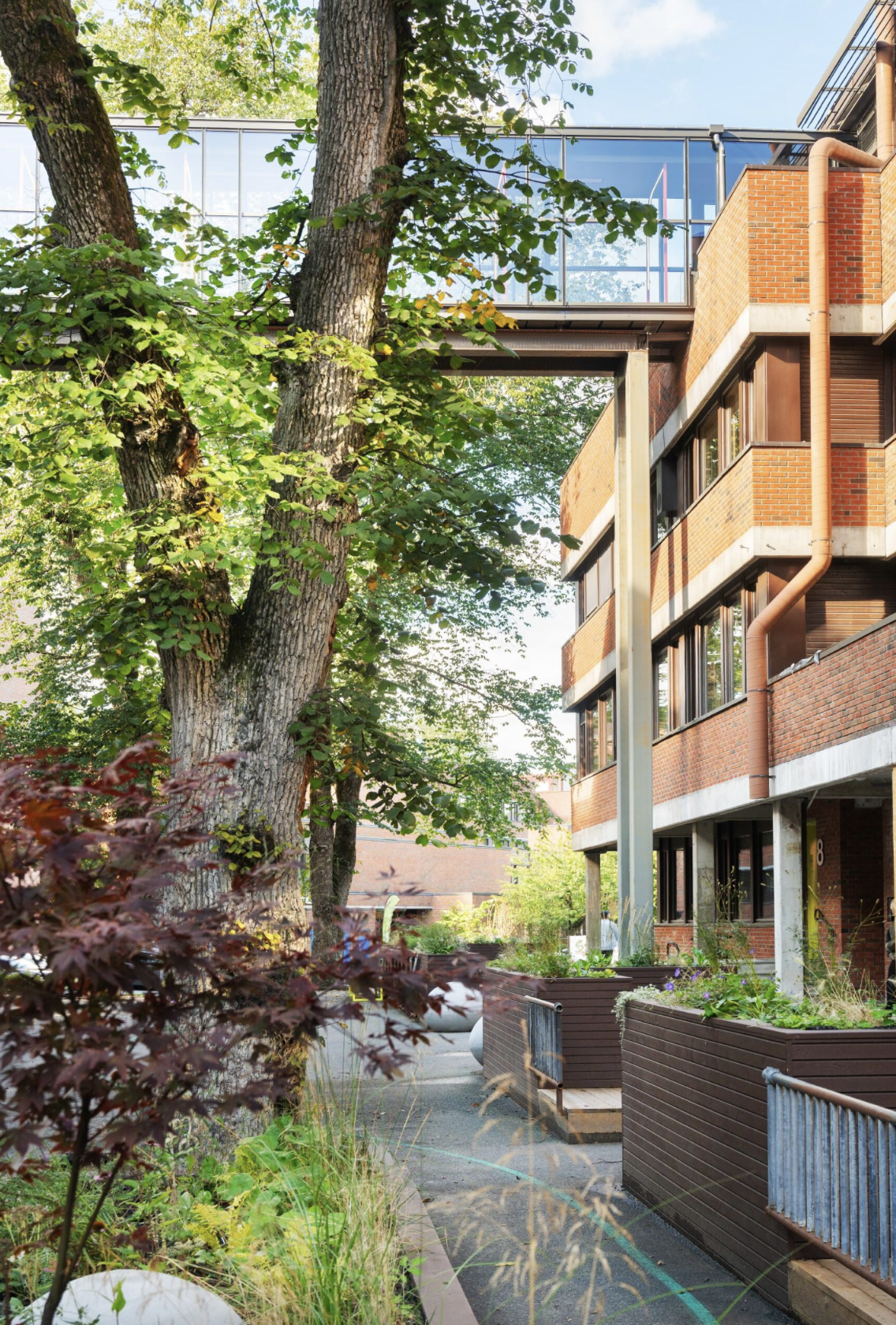 Søker flere serveringskonsepter