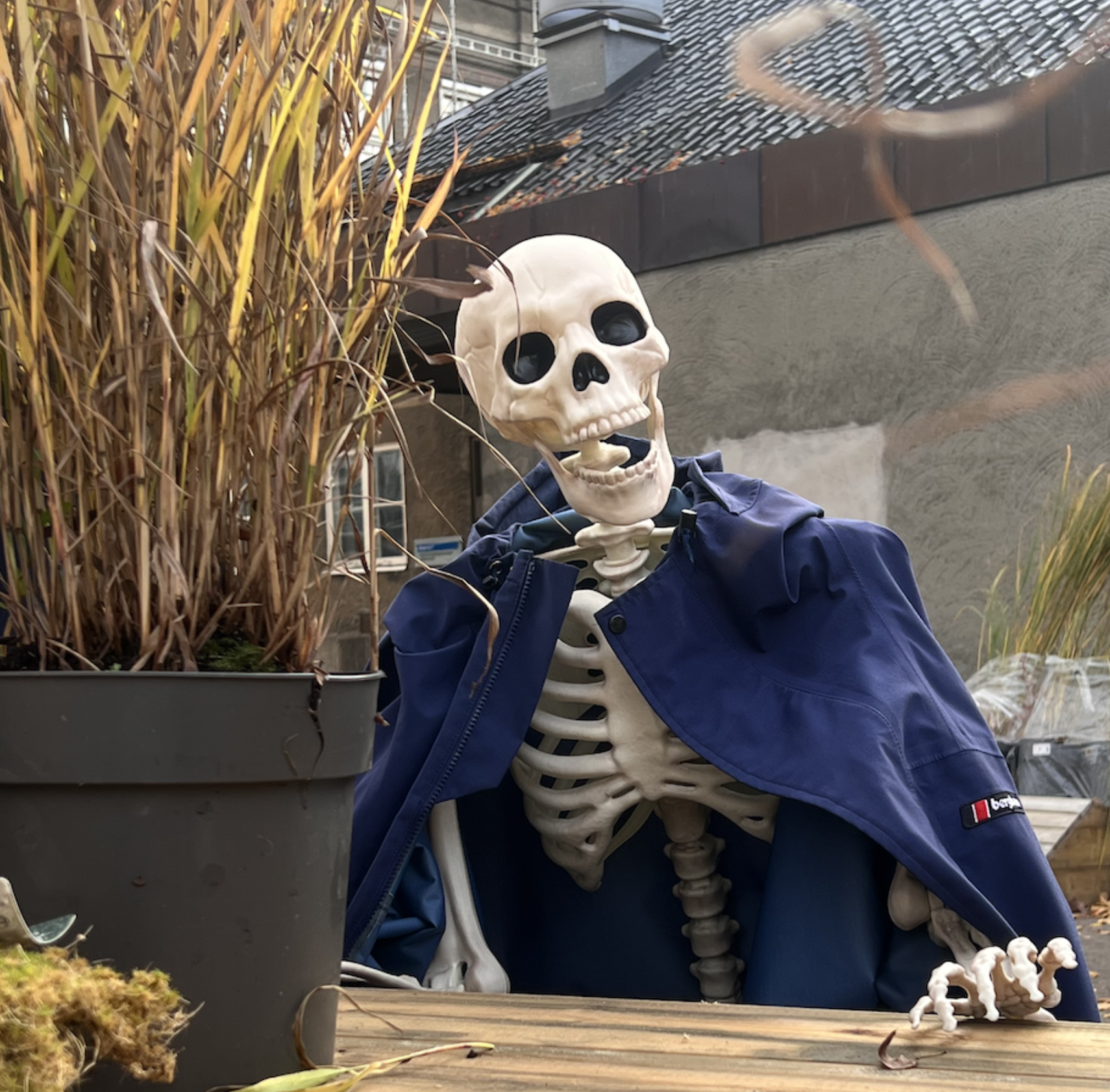 Bli med på Halloween 31. oktober