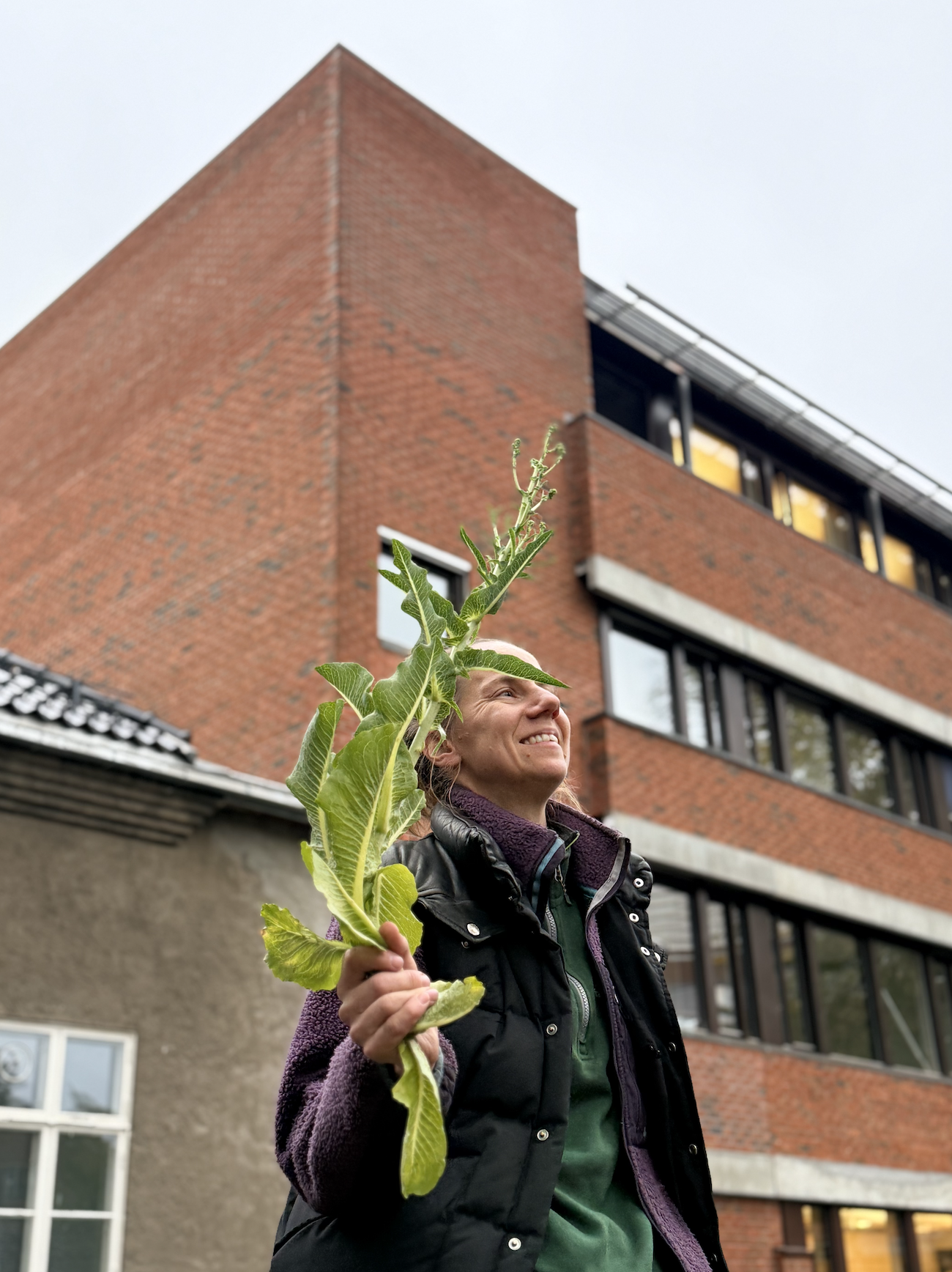 Skjermbilde 2026-10-15 kl. 10.08.35.png