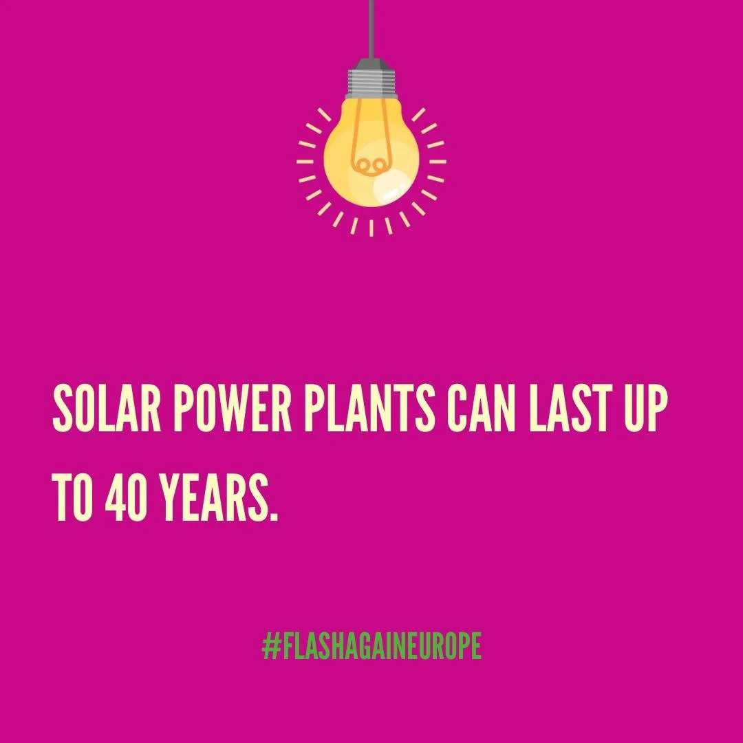 WhatsApp Image 2024-04-25 at 14.14.49.jpeg