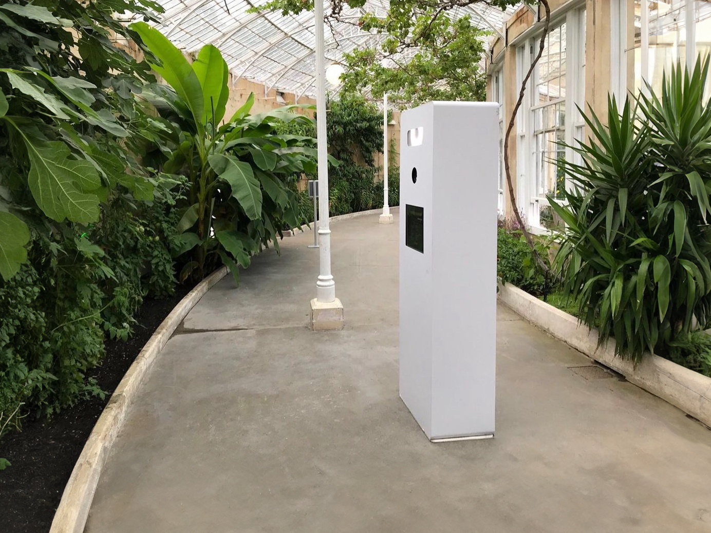 It’s Social Signature Photo Booth set up at a wedding in a botanical greenhouse.