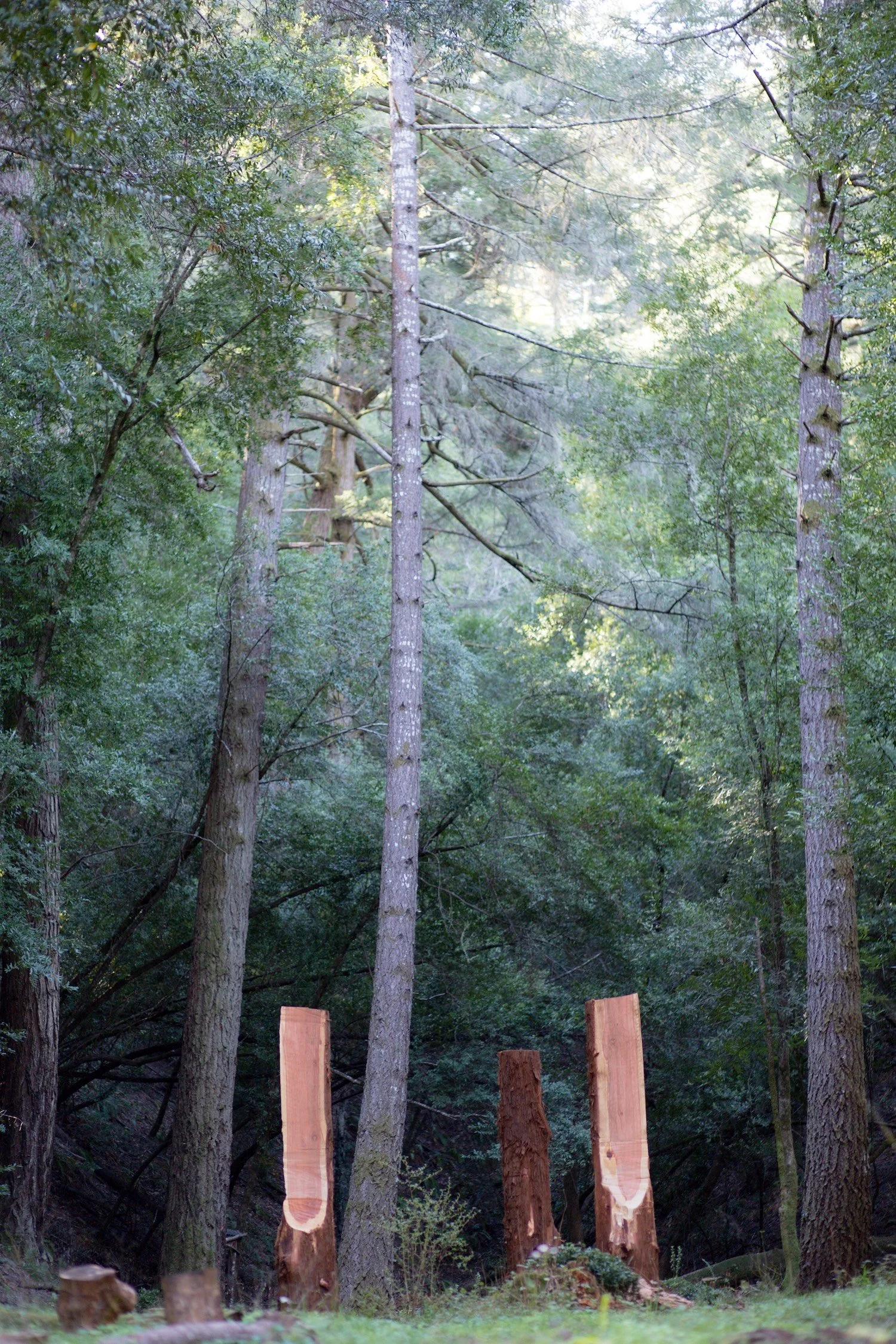 portal big copy.jpeg