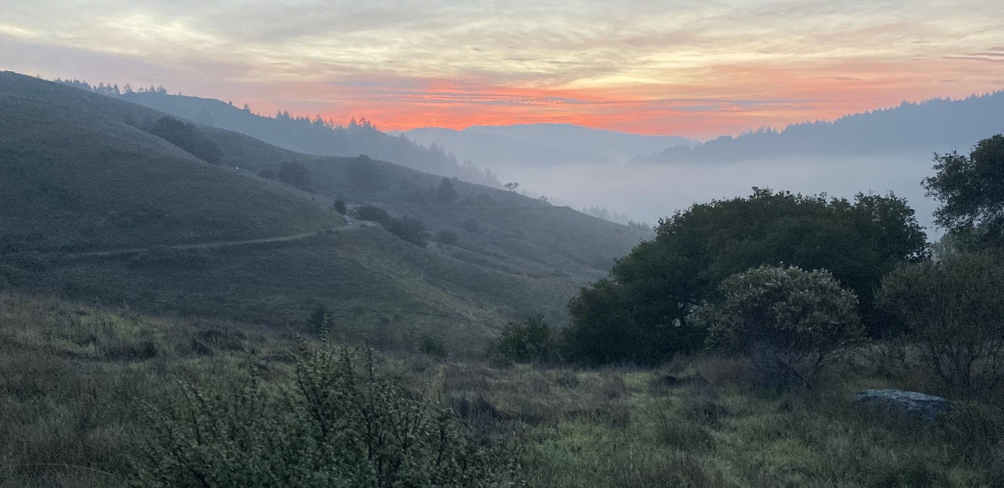 dawn-ridge copy.jpeg