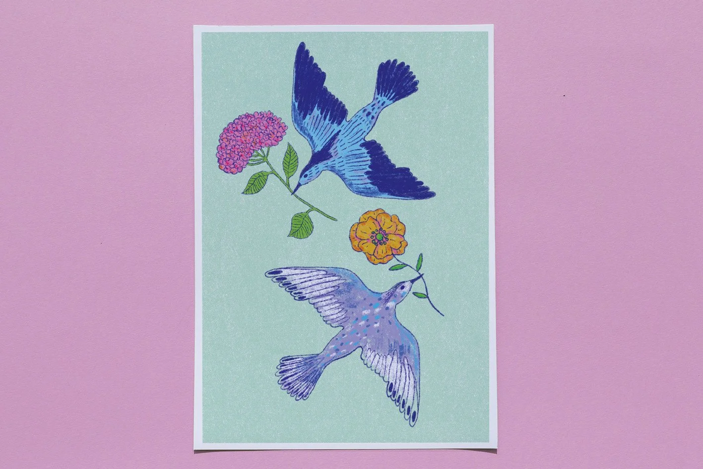 birds2.jpg