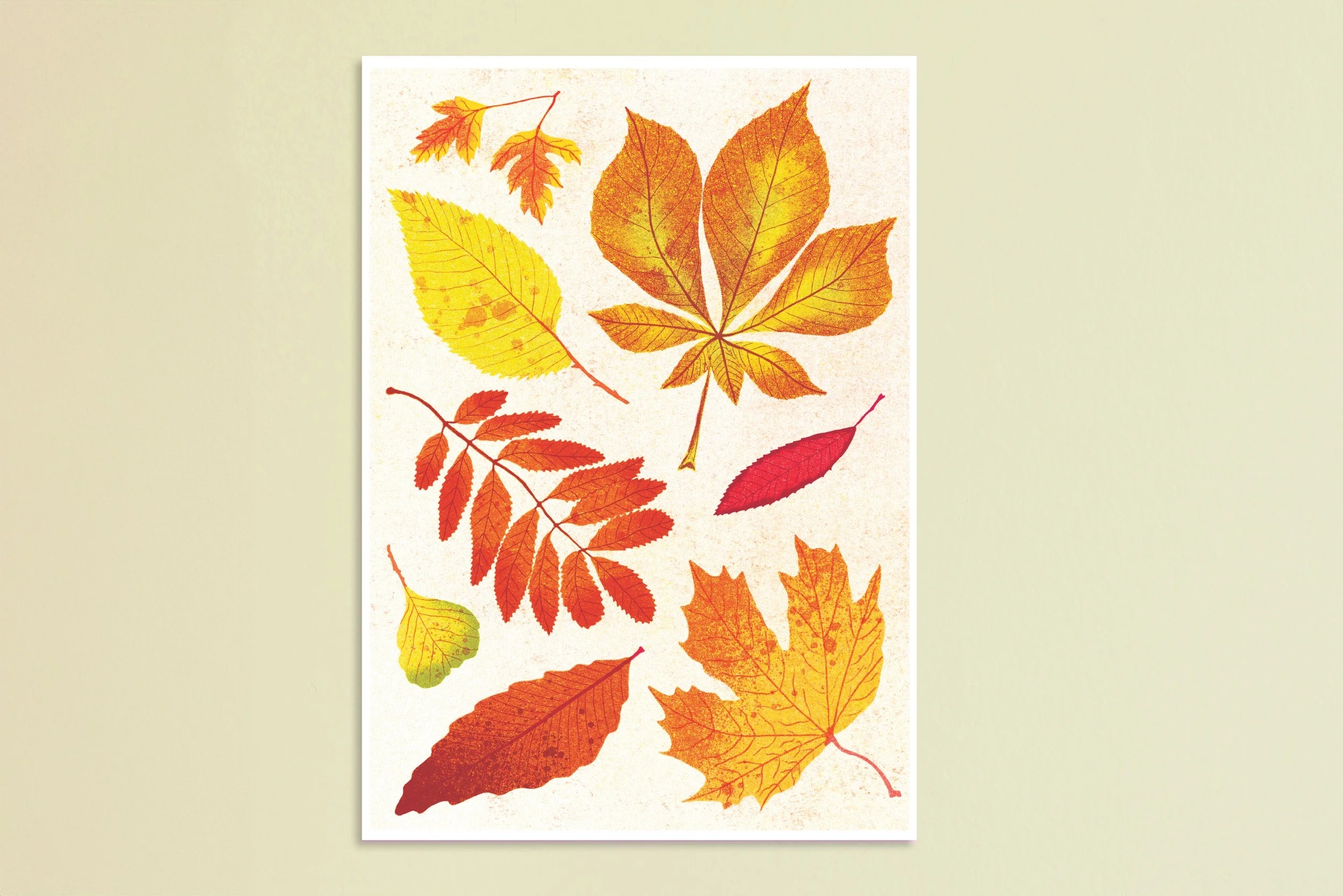 leaves1.jpg