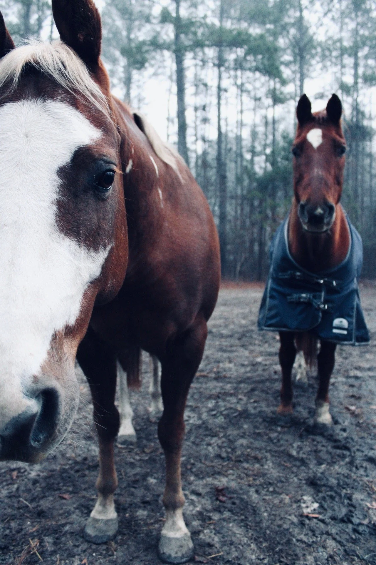 retreat photo 1 .jpeg