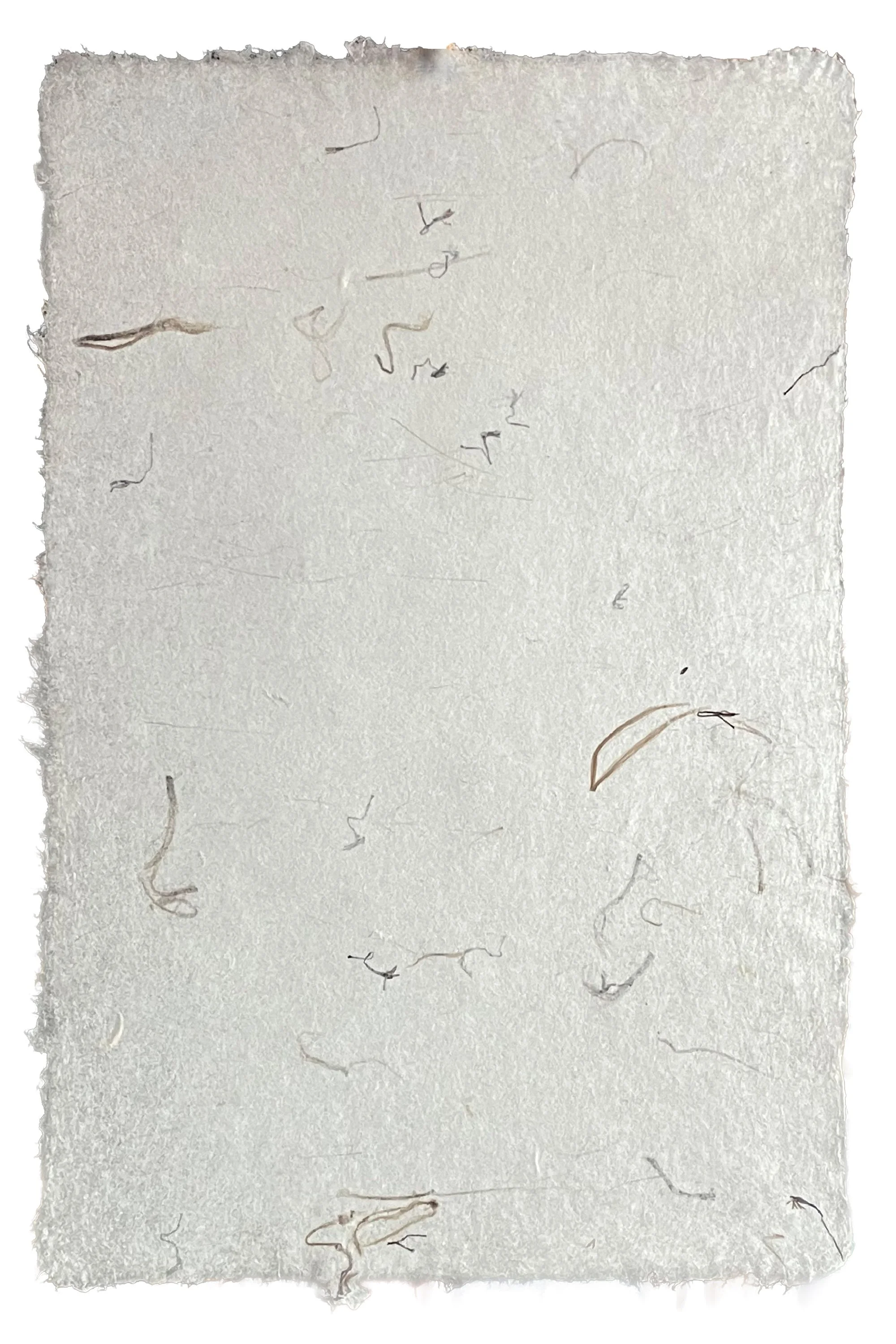 Abaca & Thistledown