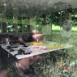 Co-Remembering Covid