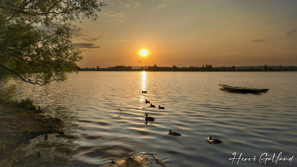 Nature - Grand-large.jpeg