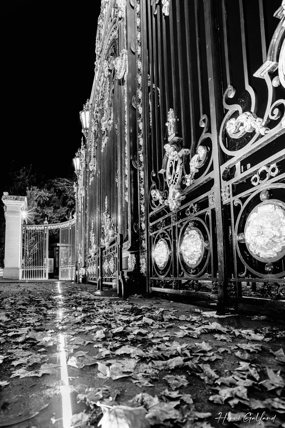 DSC01426-Avec accentuation-Bruit.jpeg