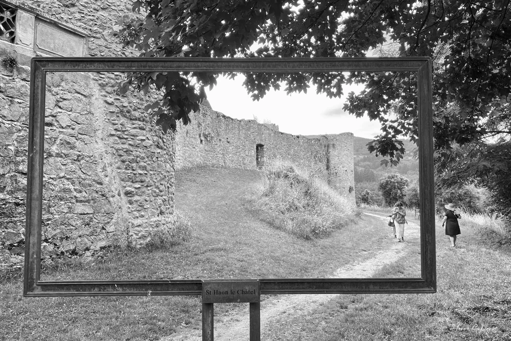 Street-nature - 1.jpeg