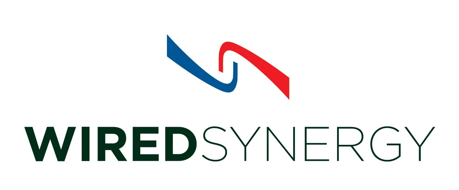 Logo for Wired Synergy featuring a stylized blue and red wire graphic above the company name in green.