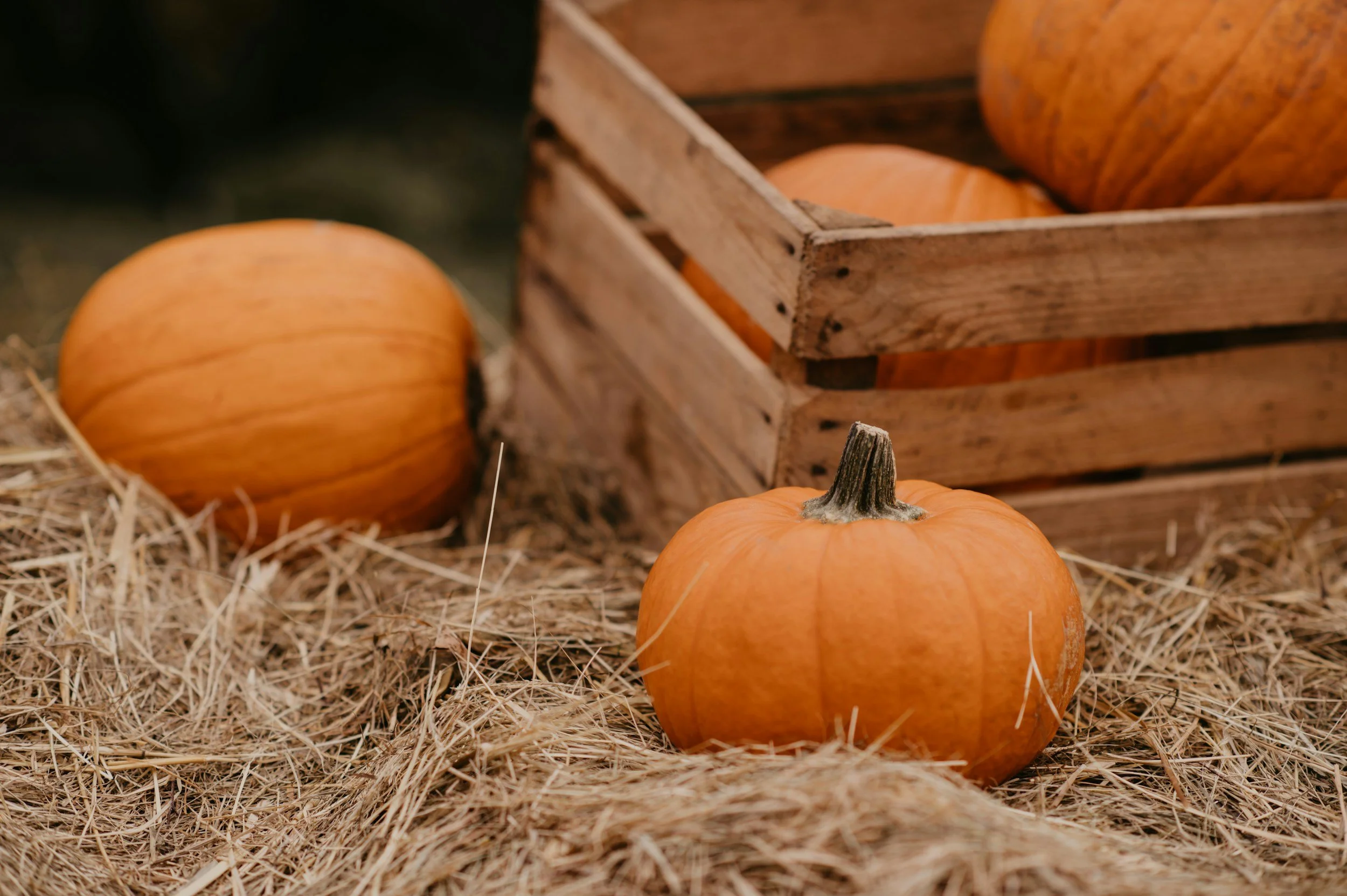 Fall Farm Event