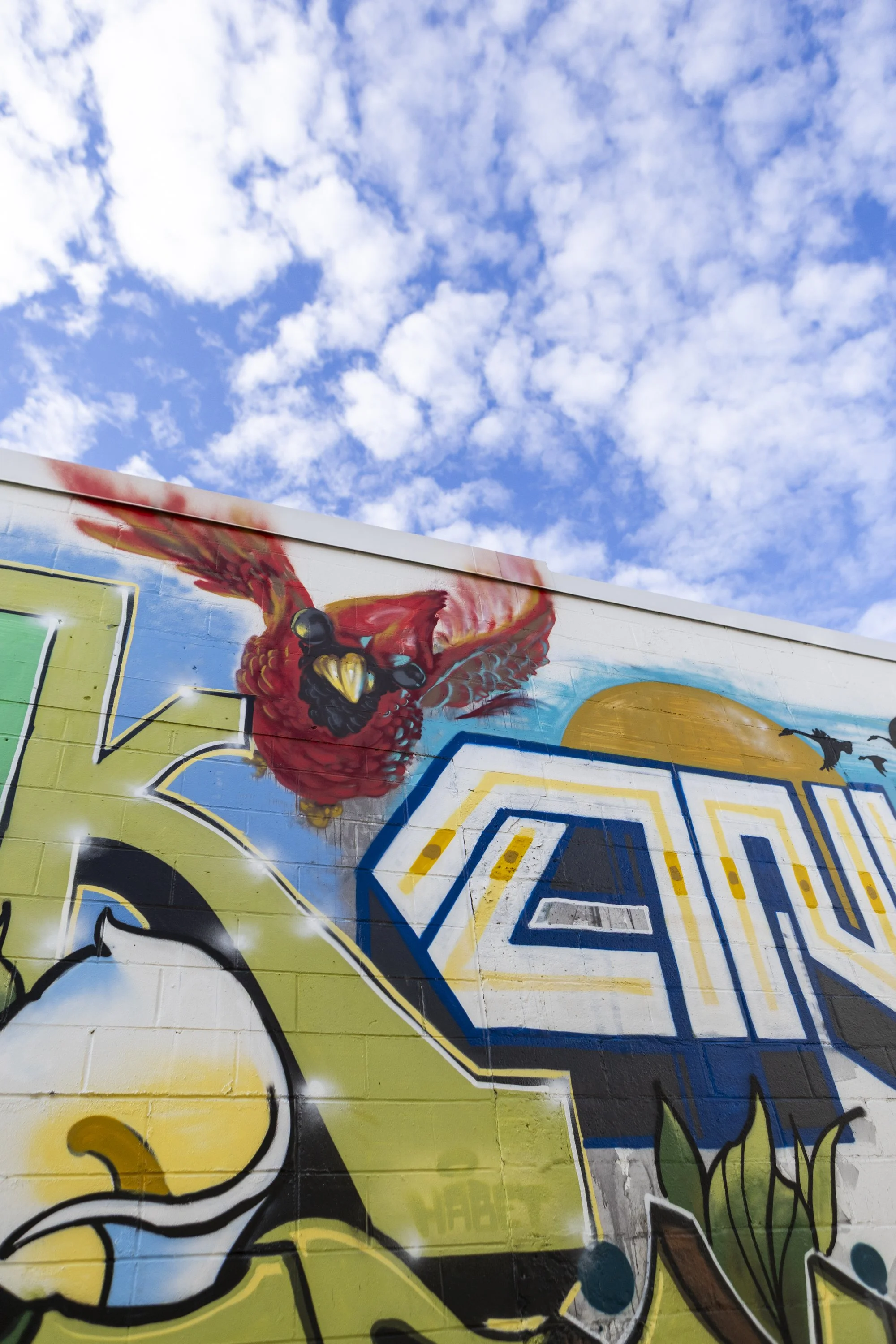 LakeSt_November 13, 202524.jpg