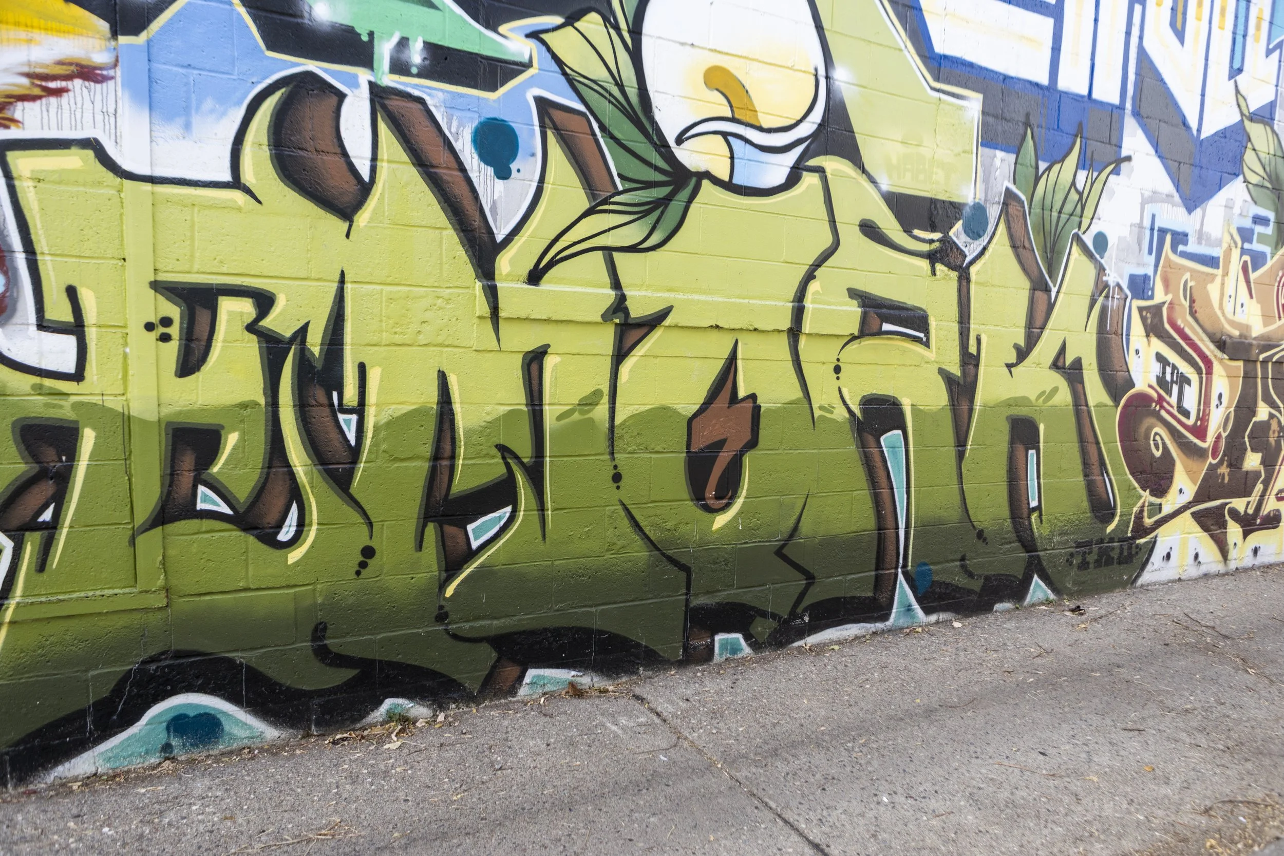 LakeSt_November 13, 202525.jpg