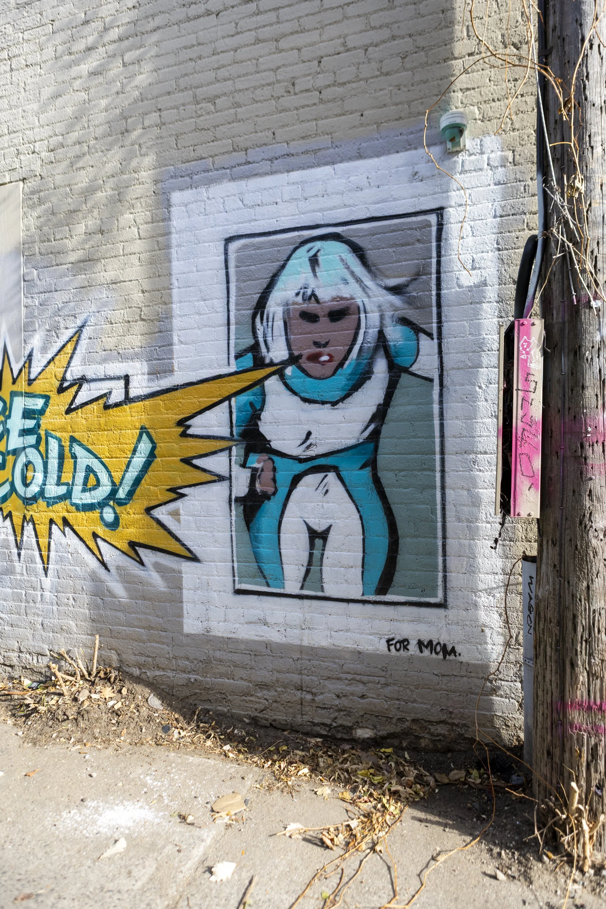 LakeSt_November 13, 202527.jpg