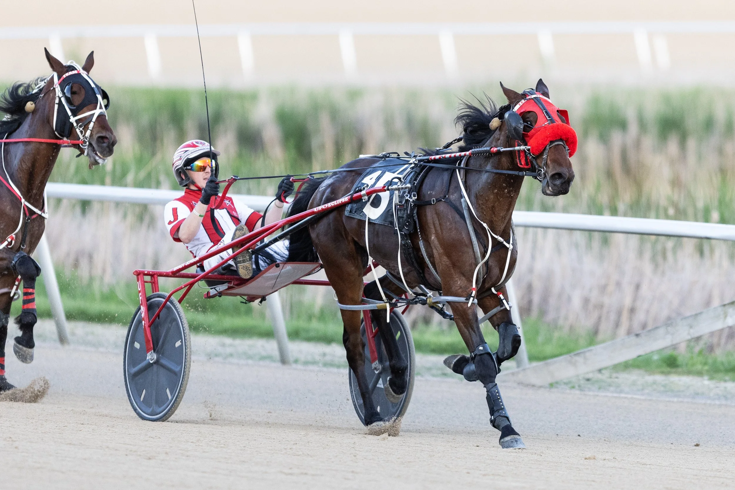 MNLL_20260526_RunningAces-031.jpg
