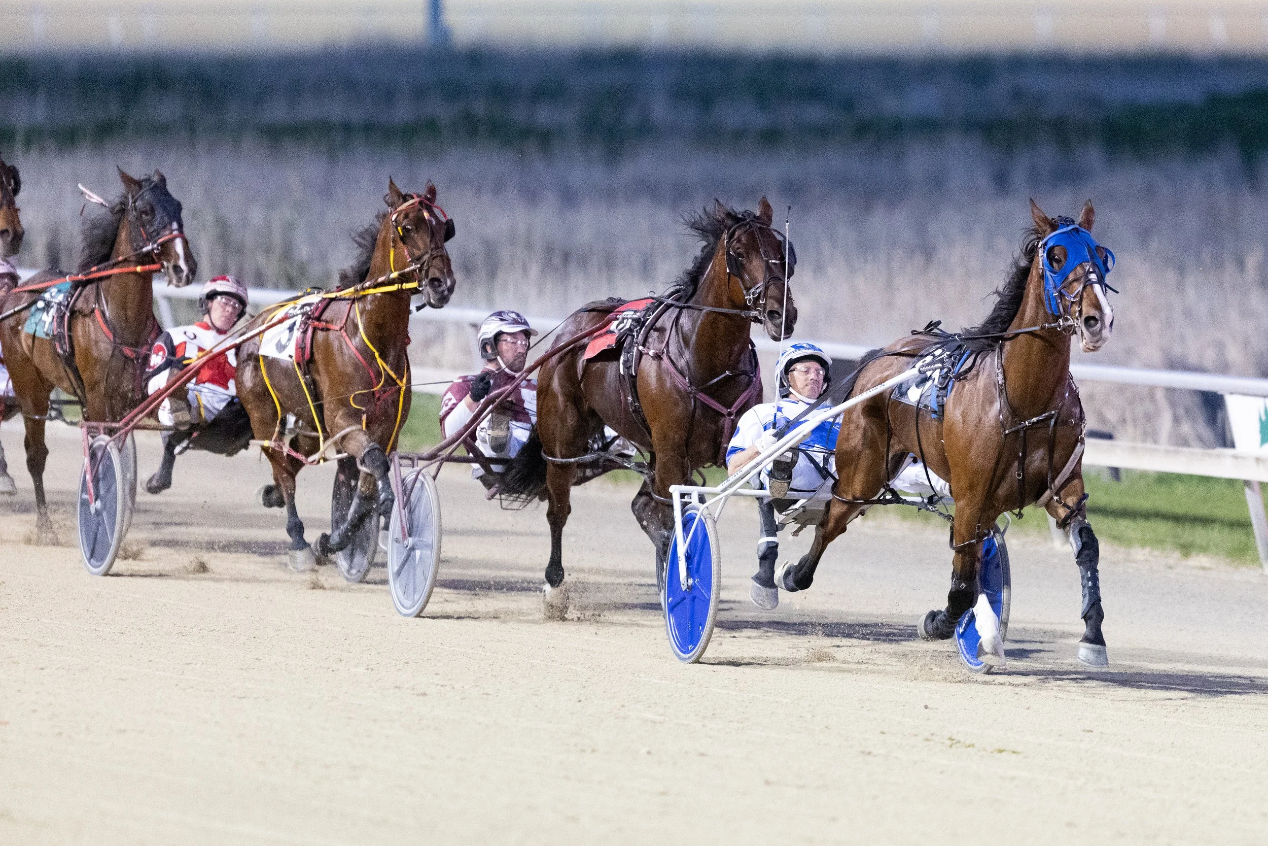MNLL_20260526_RunningAces-036.jpg