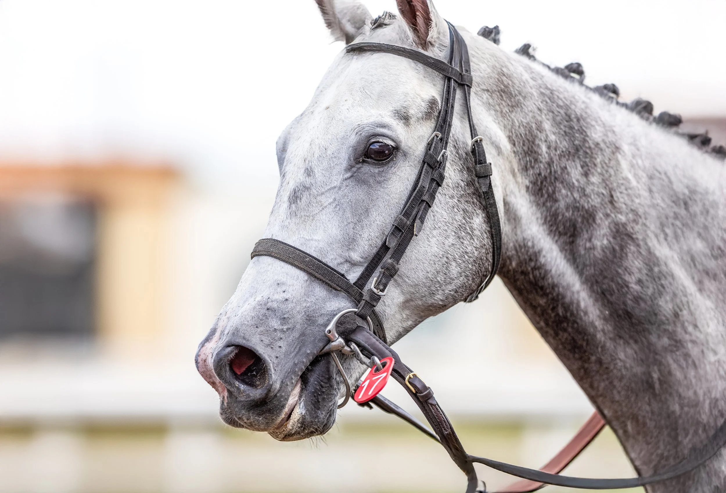 R6240163-Edit.jpg