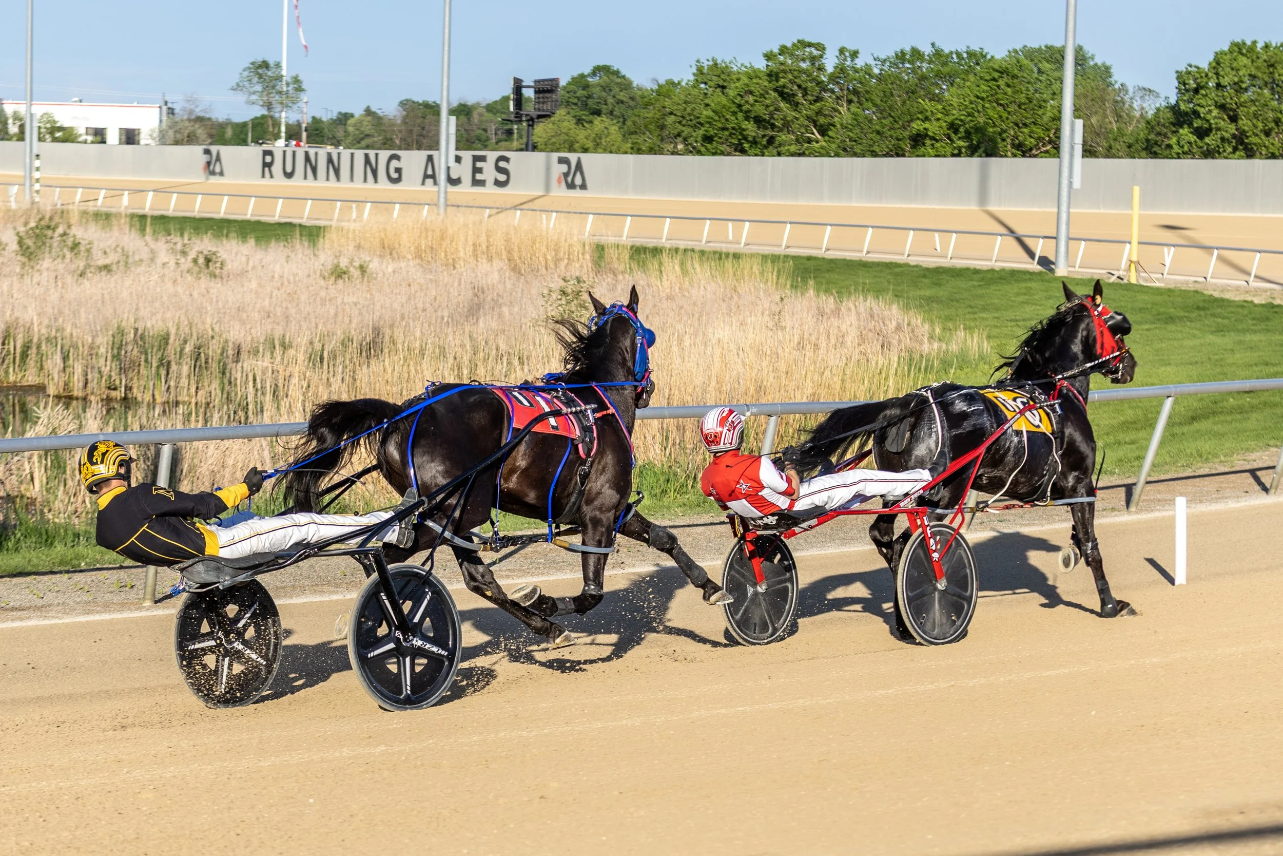 A Night at the Races: Running Aces Casino, Hotel &amp; Racetrack