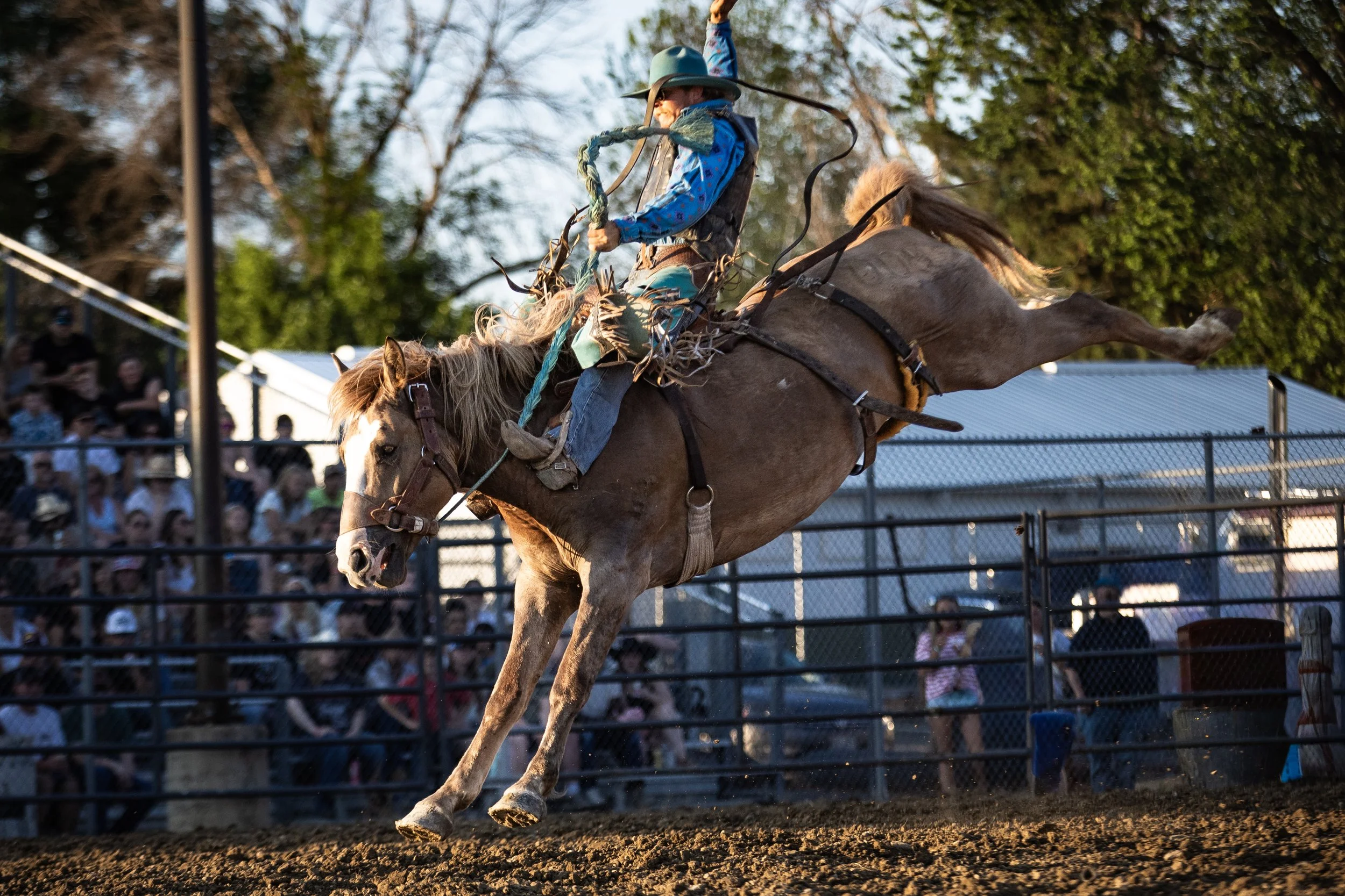Waconia Rodeo Recap