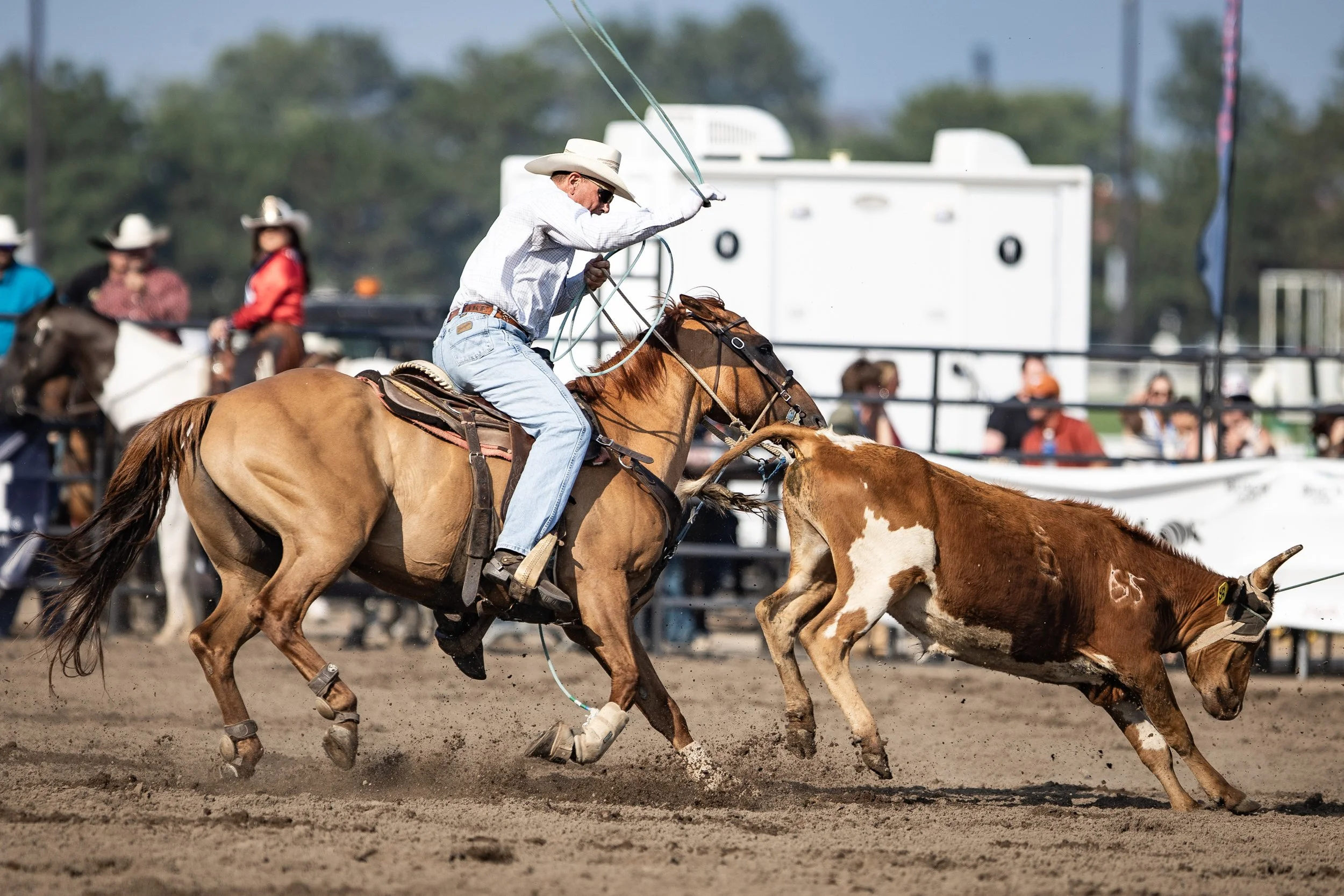 MNLL_CanterburyParkRodeo-6248292.jpg
