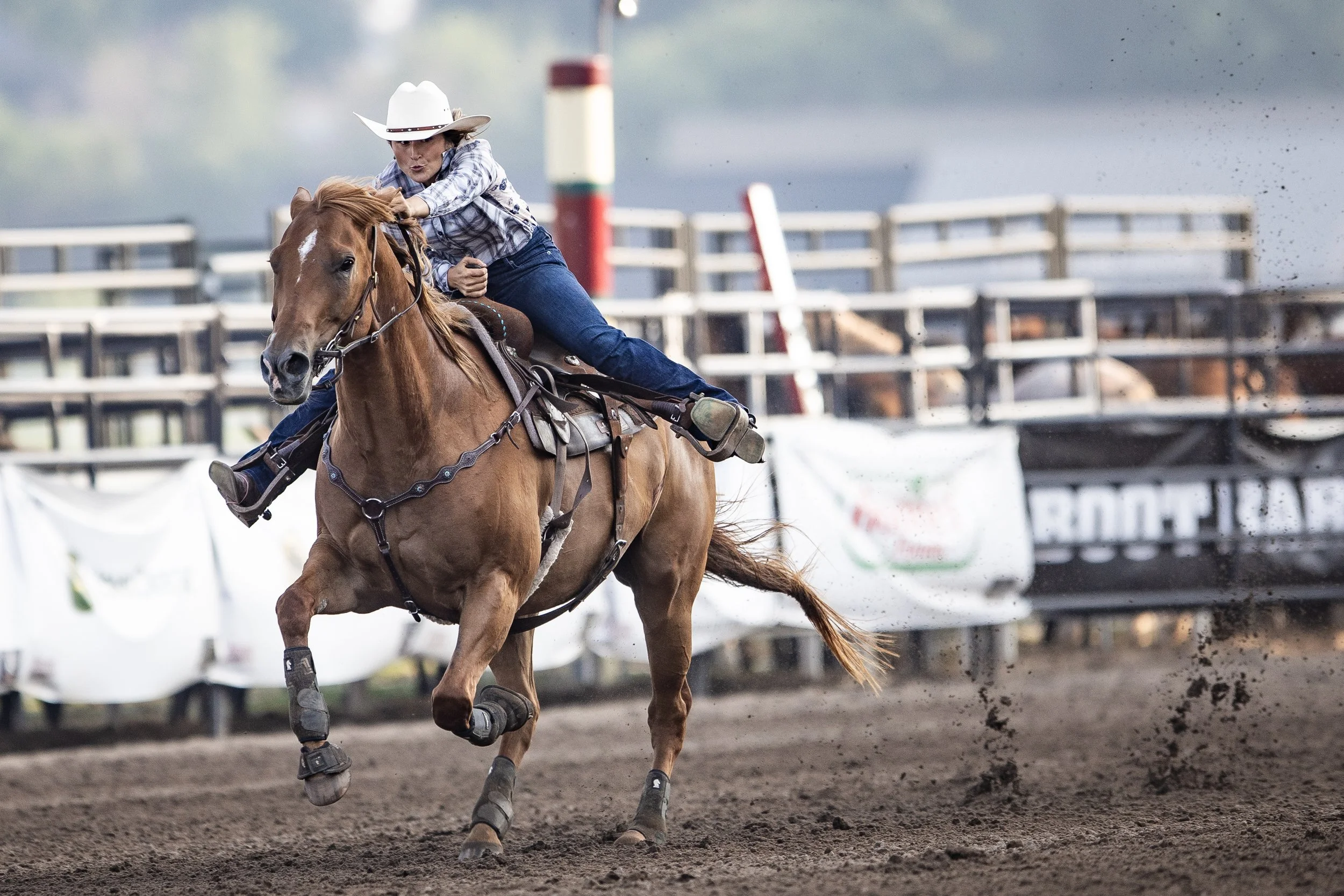 MNLL_CanterburyParkRodeo-6249396.jpg