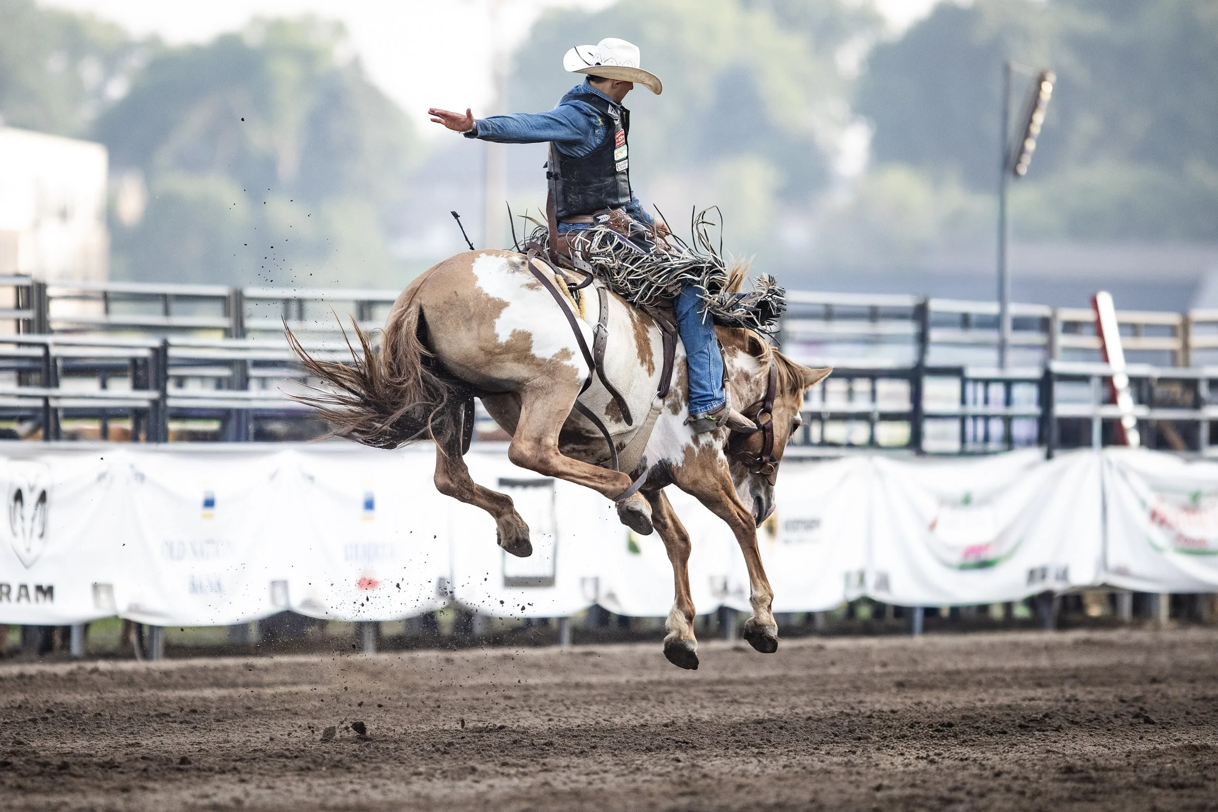 MNLL_CanterburyParkRodeo-6249579.jpg