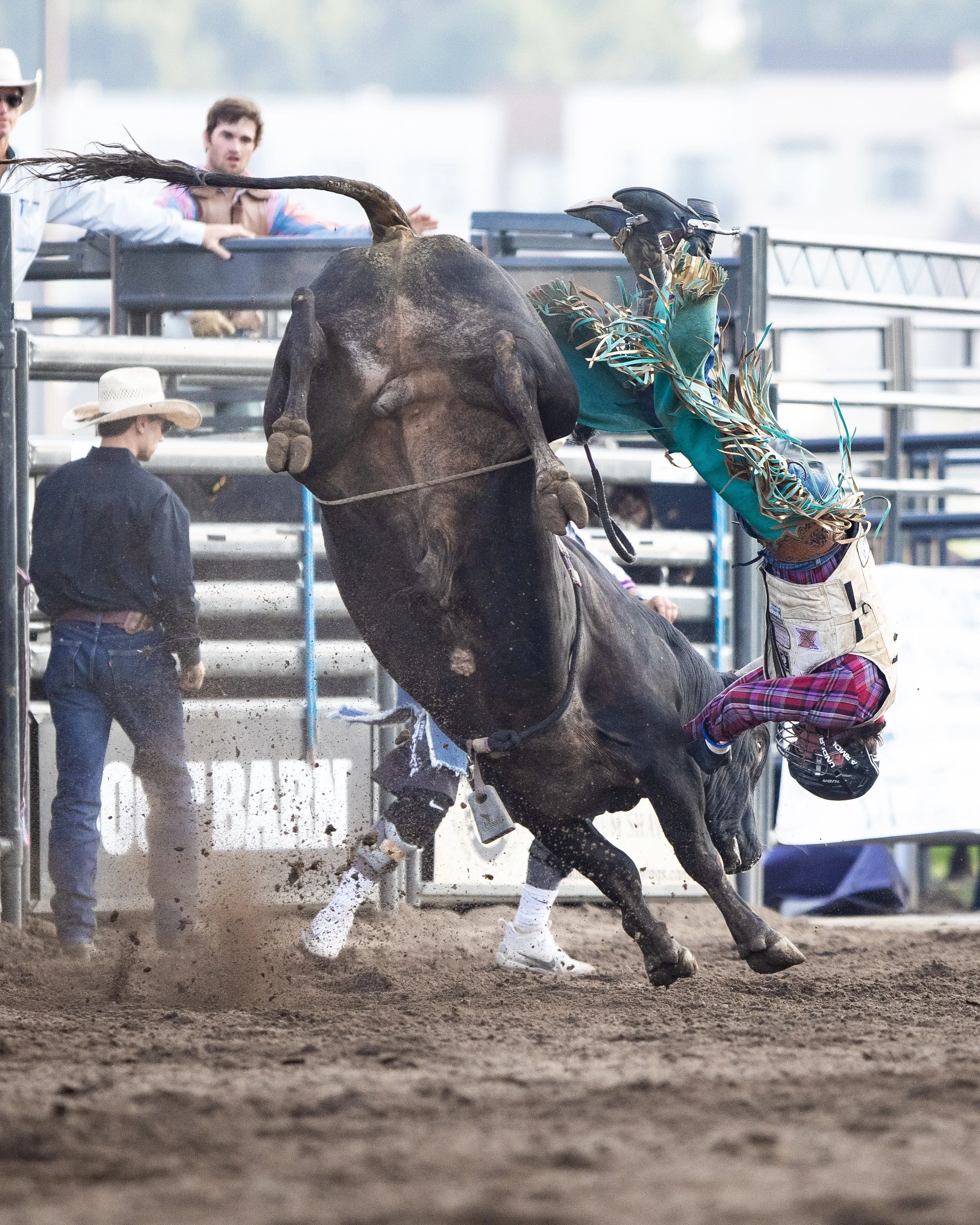 MNLL_CanterburyParkRodeo-6249687.jpg