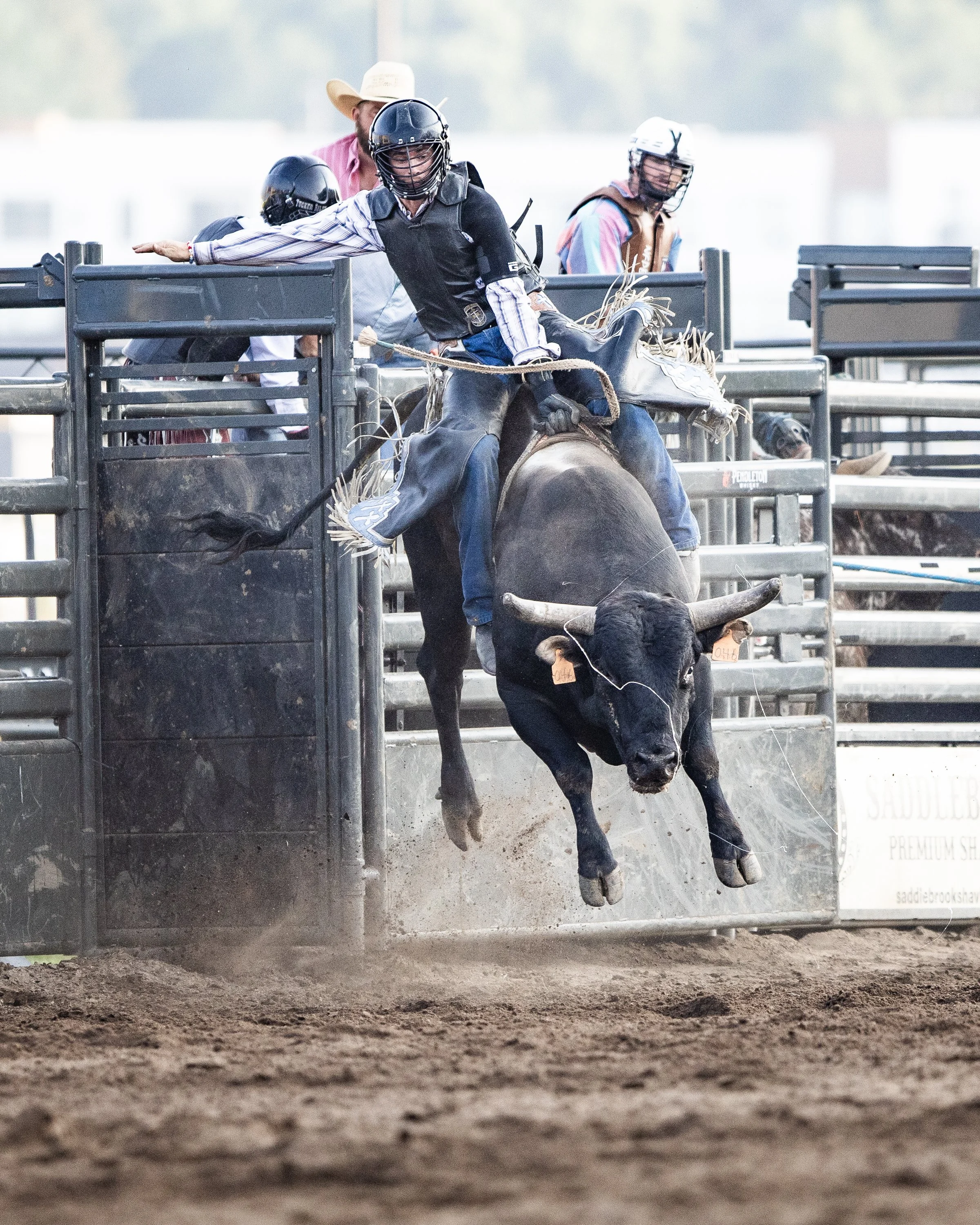 MNLL_CanterburyParkRodeo-6249695.jpg