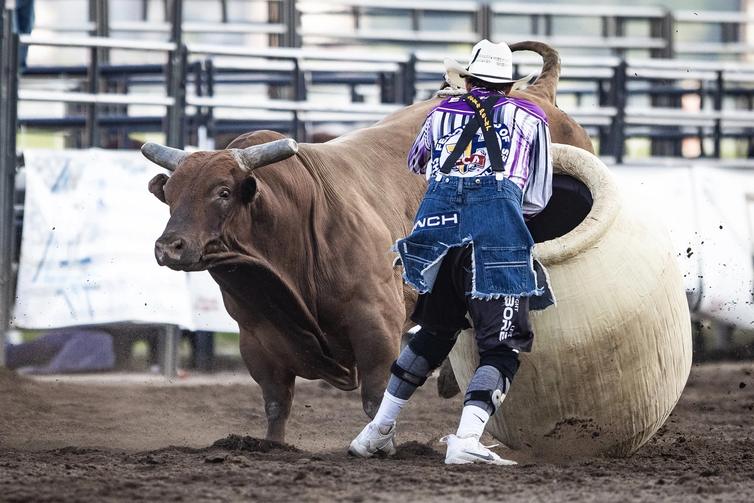 MNLL_CanterburyParkRodeo-6249837.jpg