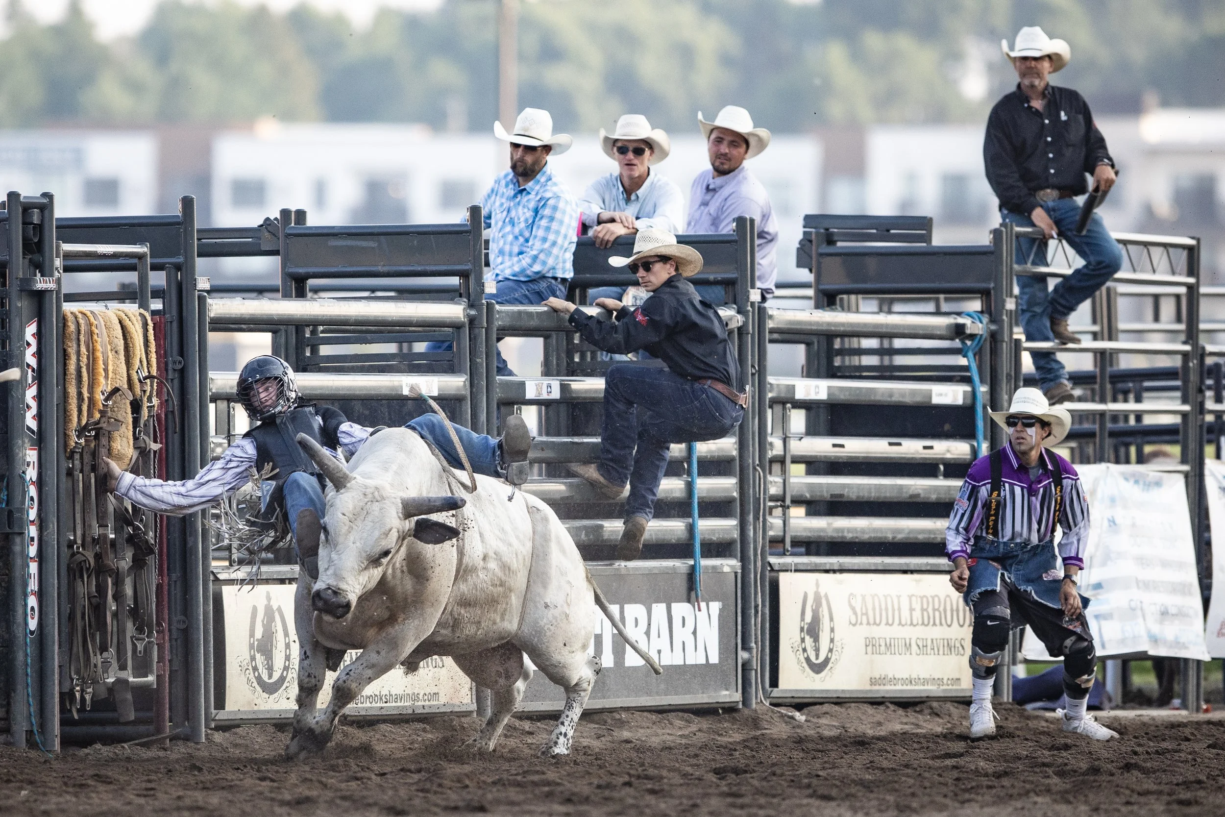 MNLL_CanterburyParkRodeo-6249995.jpg