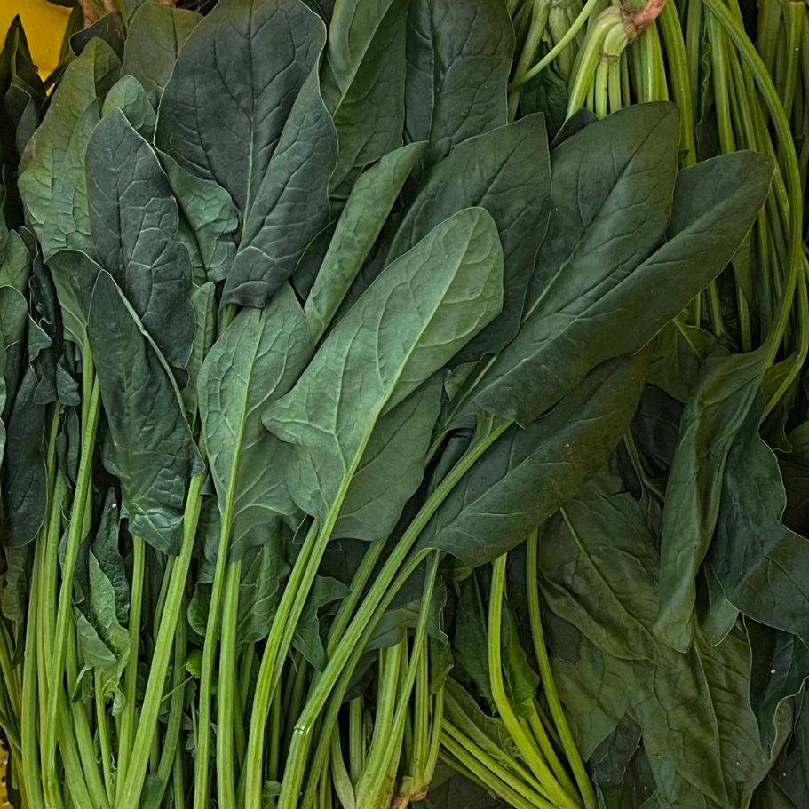 Spinach 5.jpg