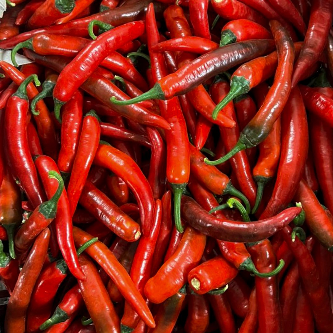 Red Chili 7.jpg