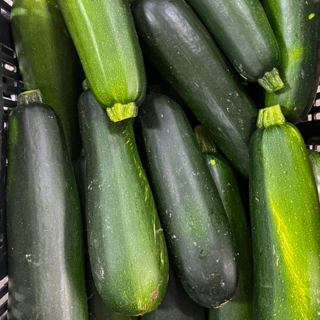 Green Zucchini 8.jpg