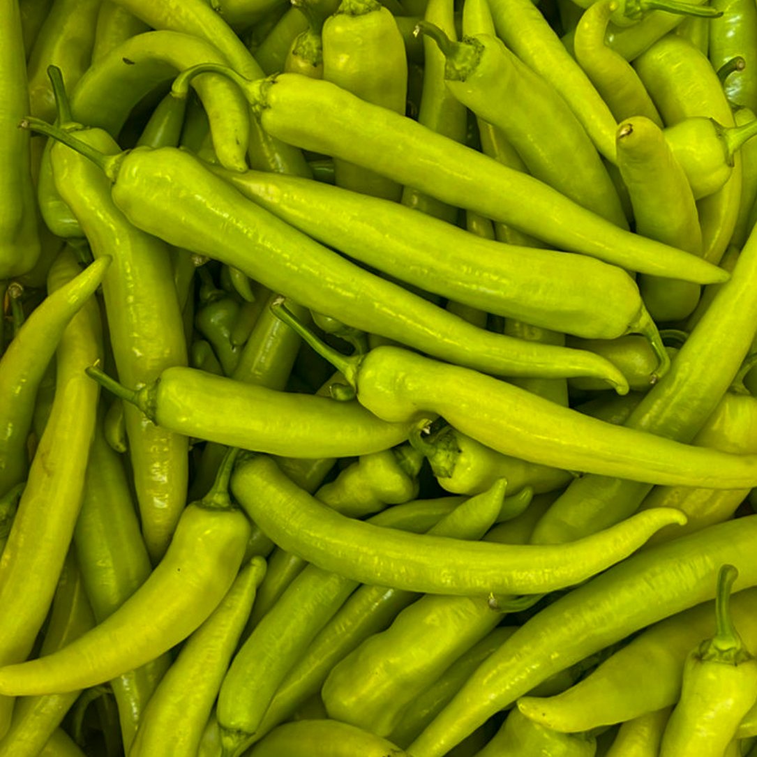 Horn Chili 10.jpg